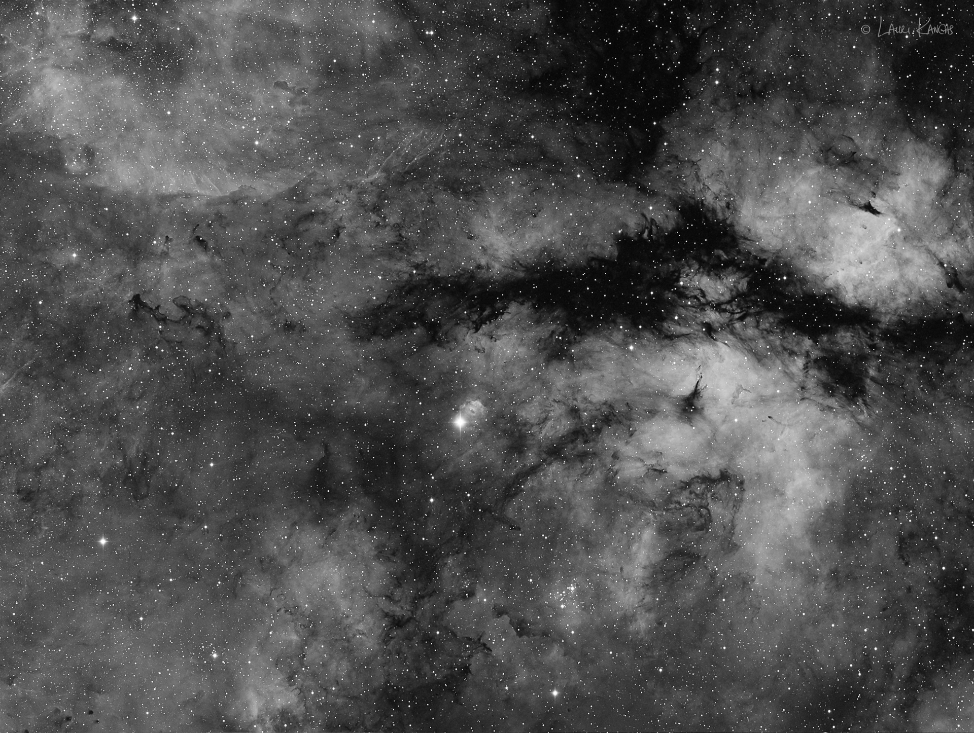 Sadr Region Cygnus in Hydrogen-Alpha