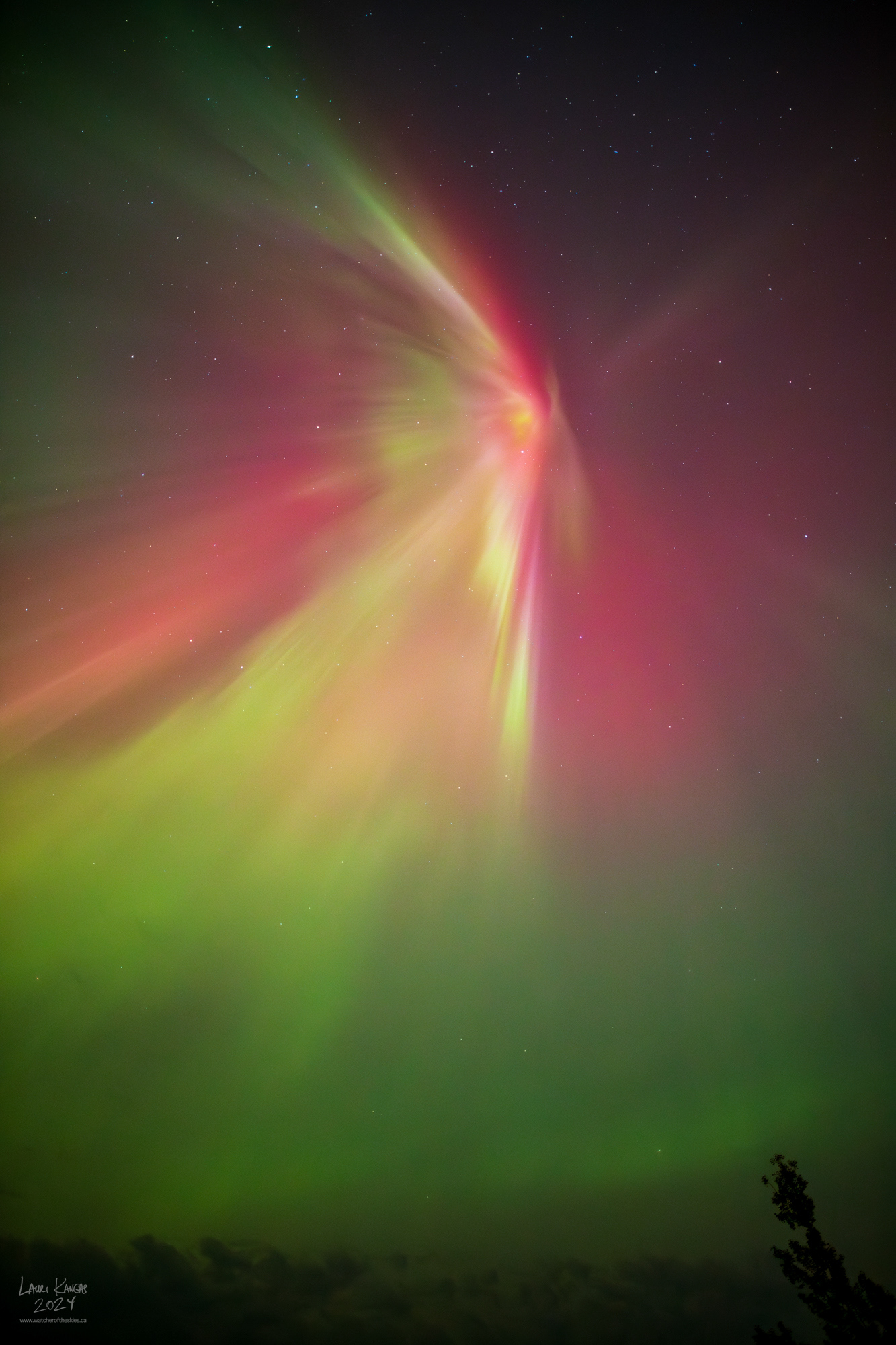 Auroral Corona during severe G4 Geomagnetic Storm over Amethyst Bay