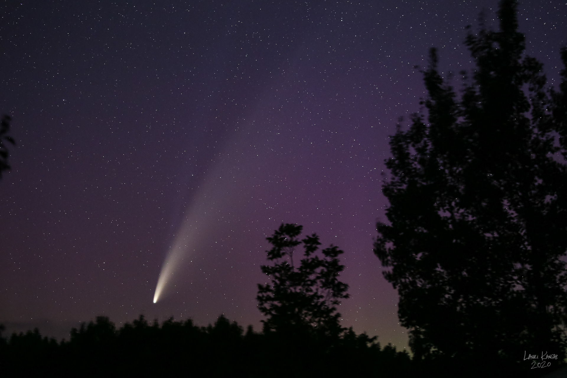 Comet NEOWISE in Auroral Glow - July 15, 2020