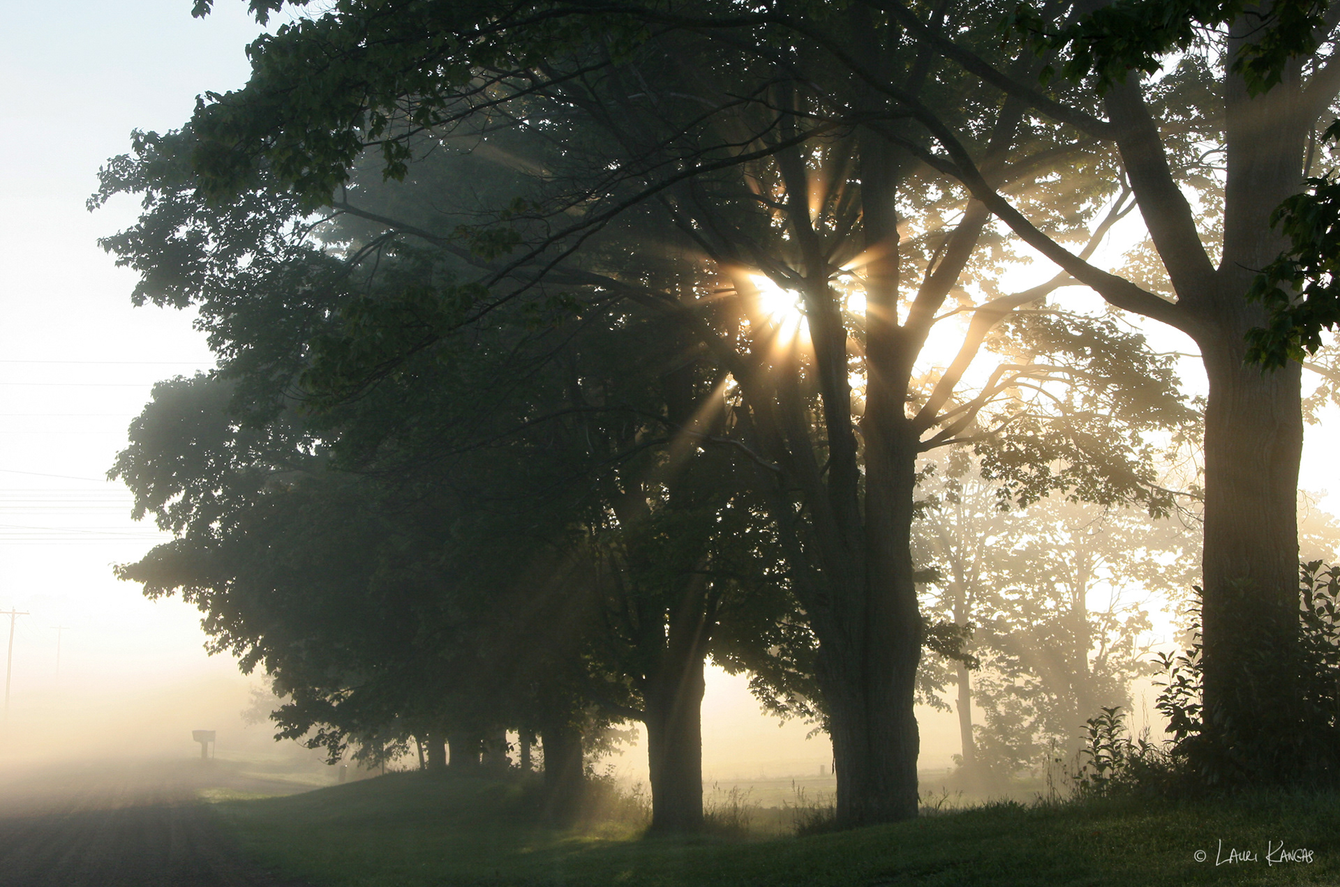 October Morning in Caledon