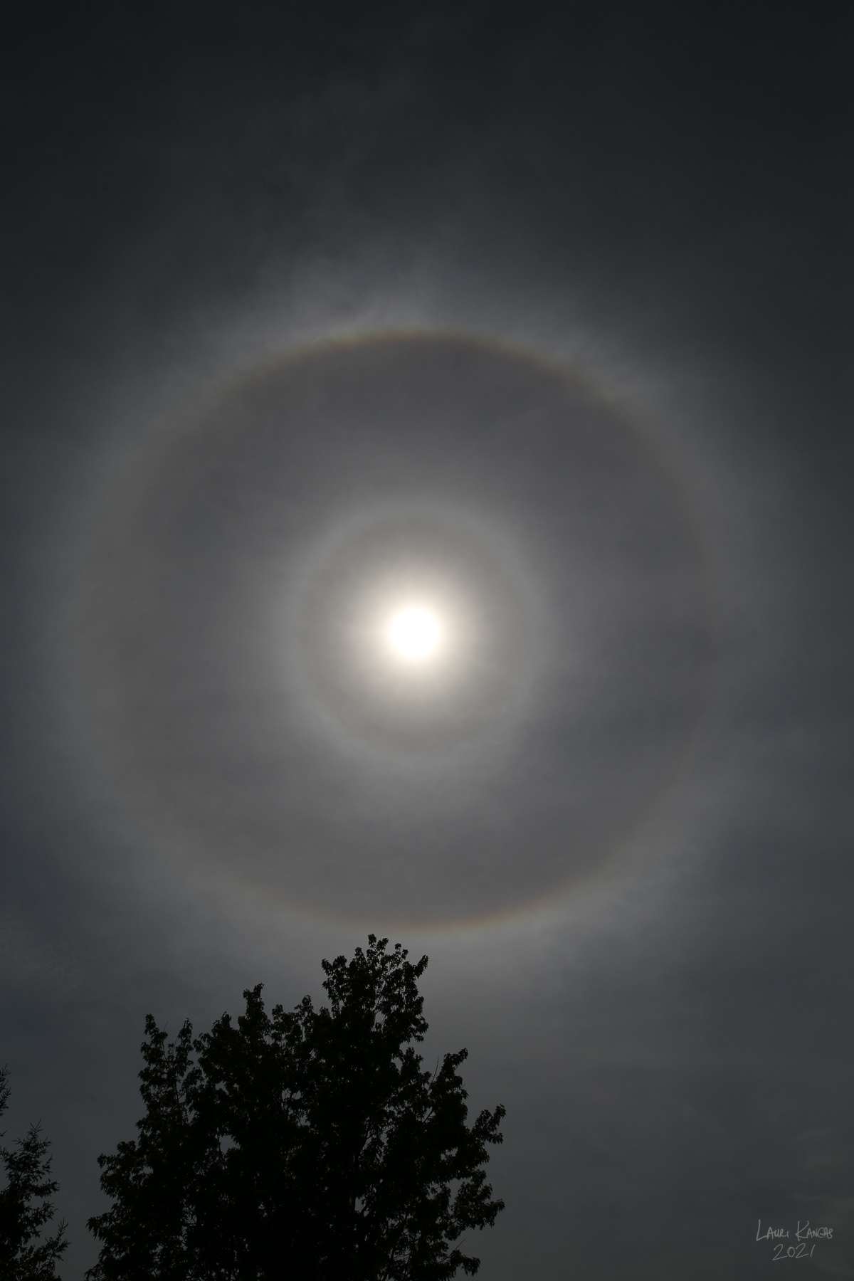 9 degree, 22 degree and circumscribed solar halos - June 8, 2021