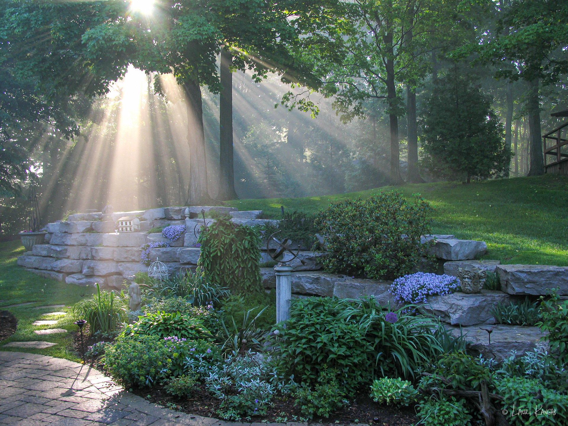 Summer Morning in Caledon
