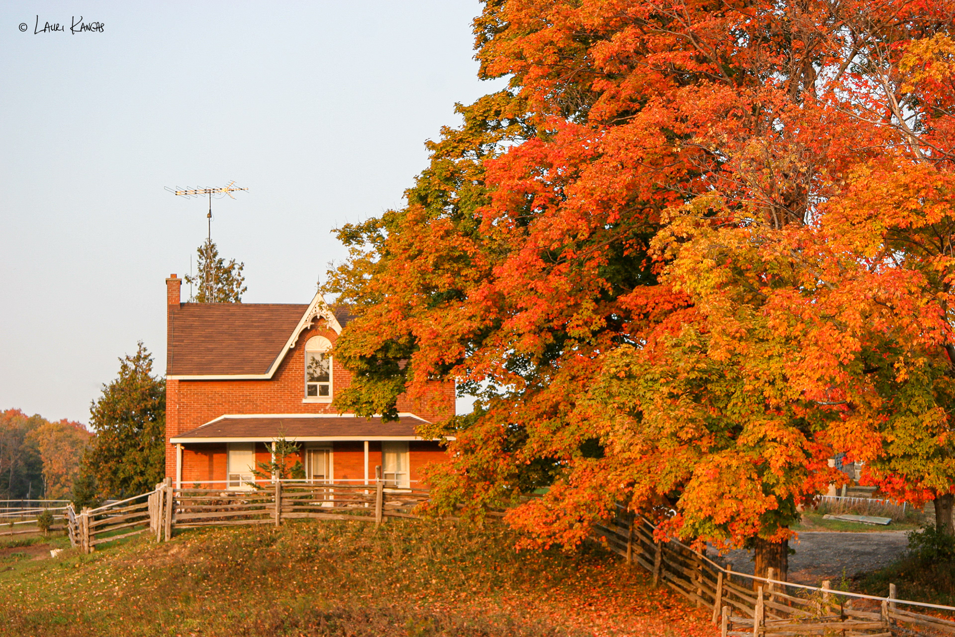 Autumn in Caledon