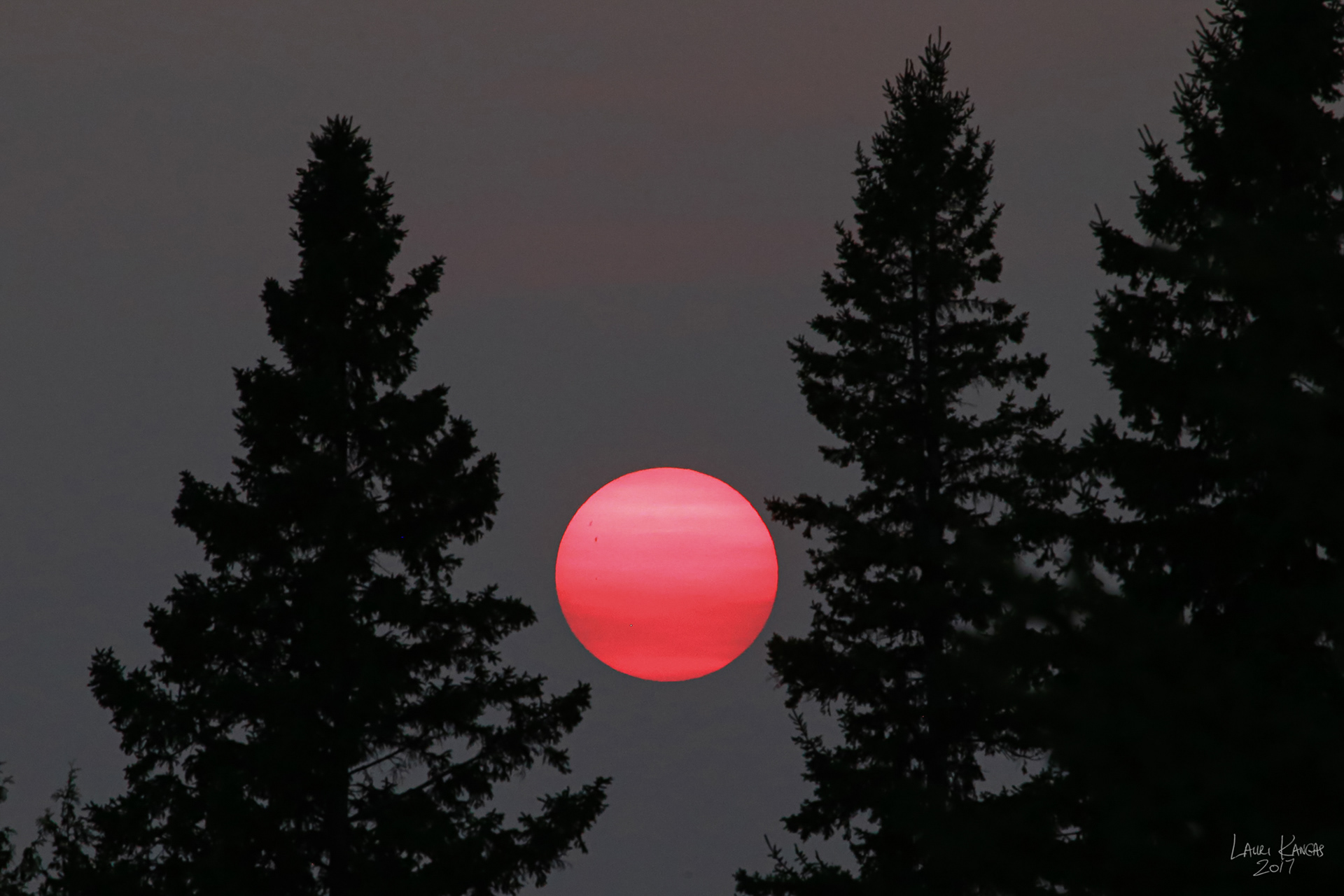 The Sun with Sunspots Photographed Through Forest Fire Smoke - August 31, 2017