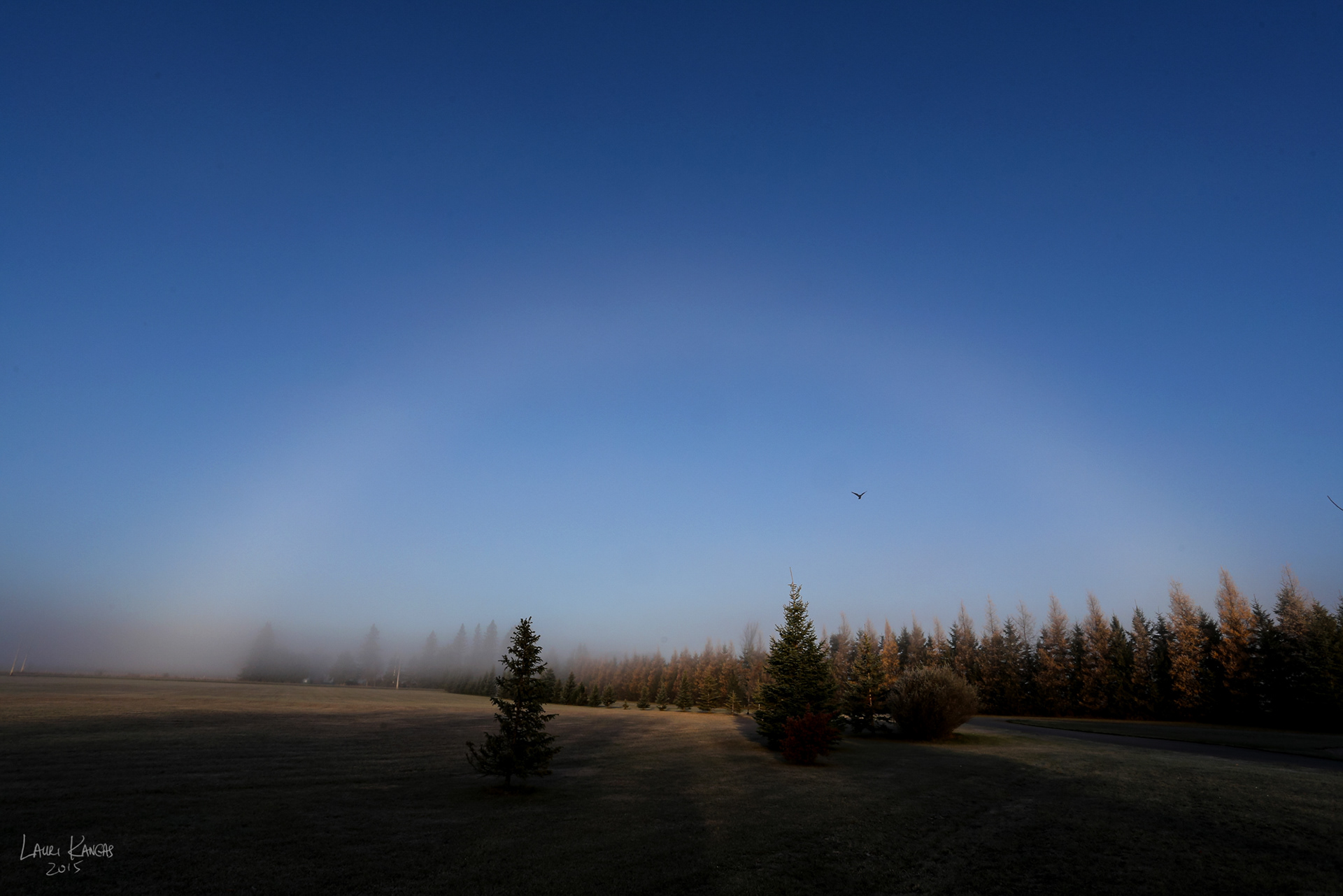Fogbow - October 26, 2015