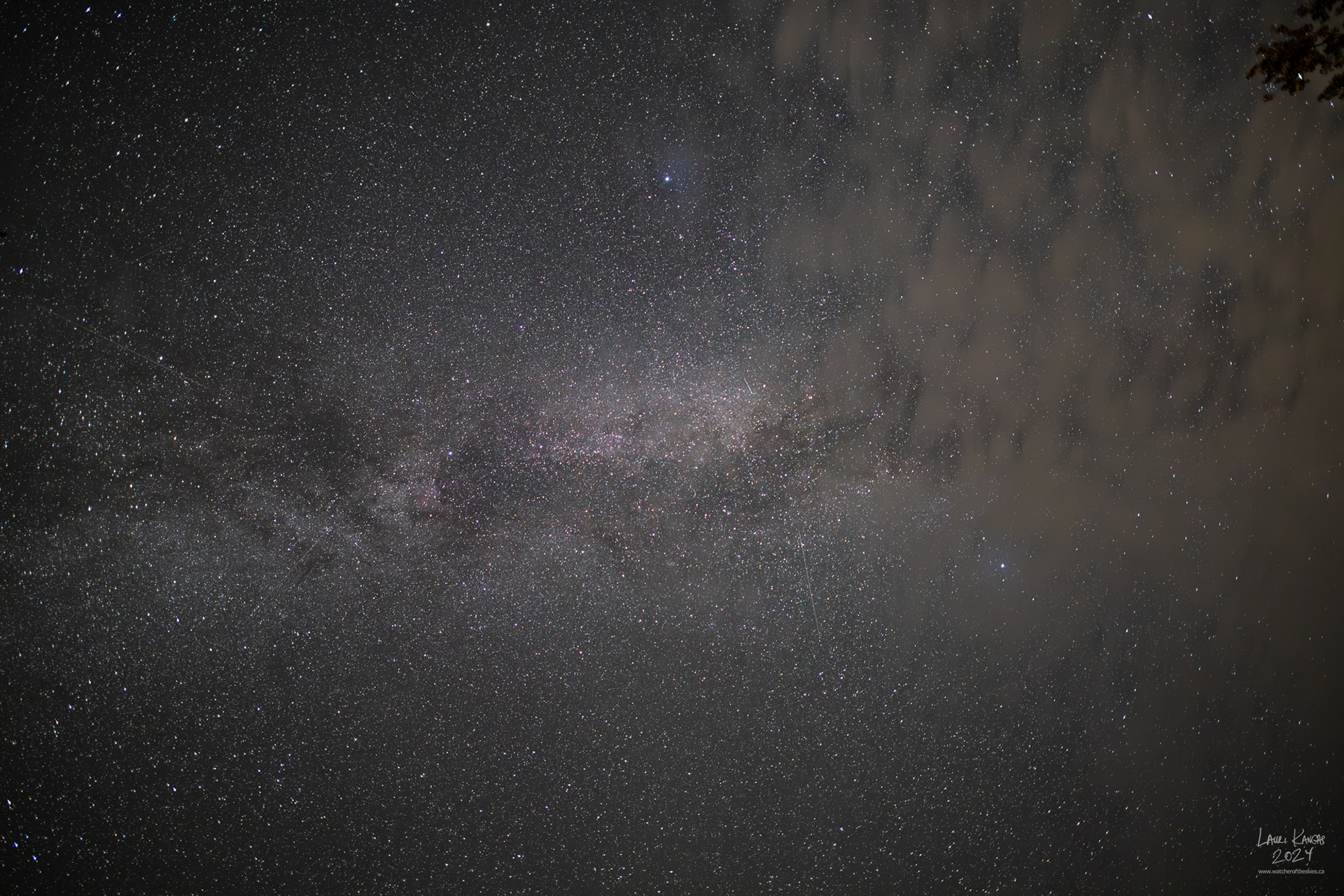 Cygnus Area of the Milky Way - Aug 6 2024