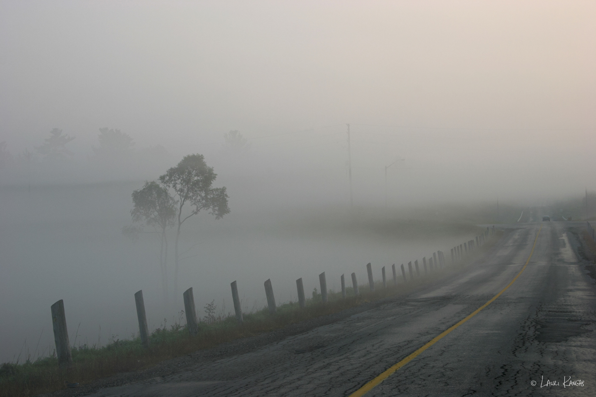 Autumn Foggy Road - Caledon, Ontario