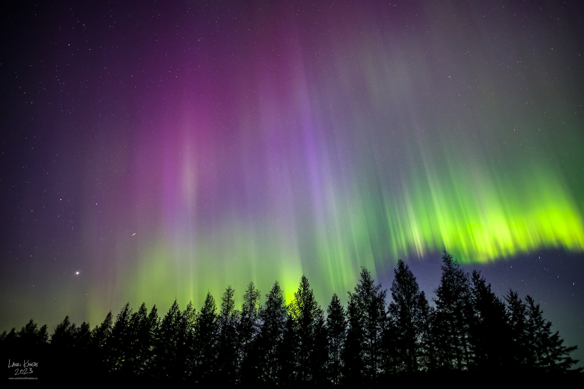 Watcher of the Skies - Aurora Borealis