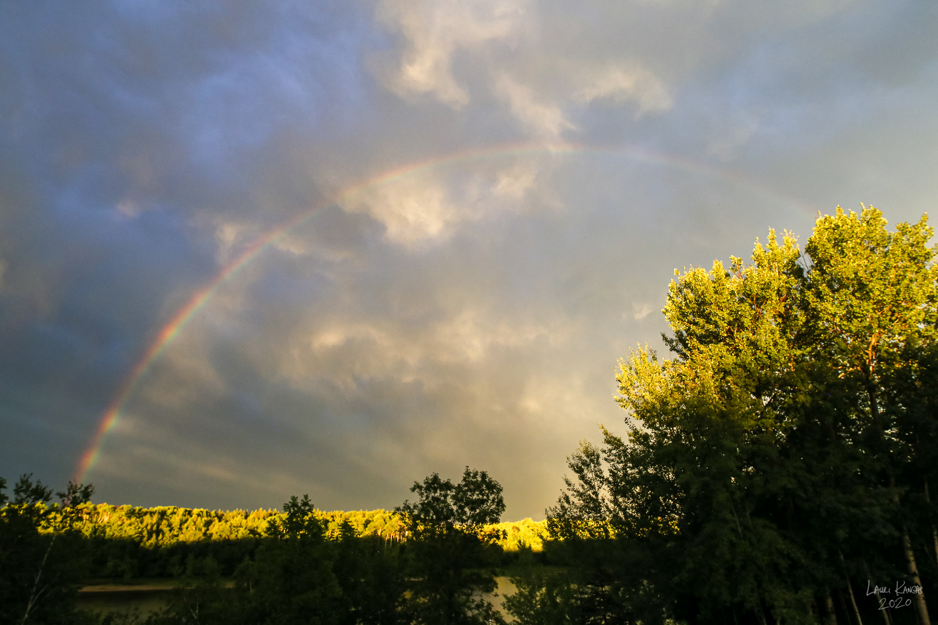 Spoked Rainbow Wheel - August 15, 2020