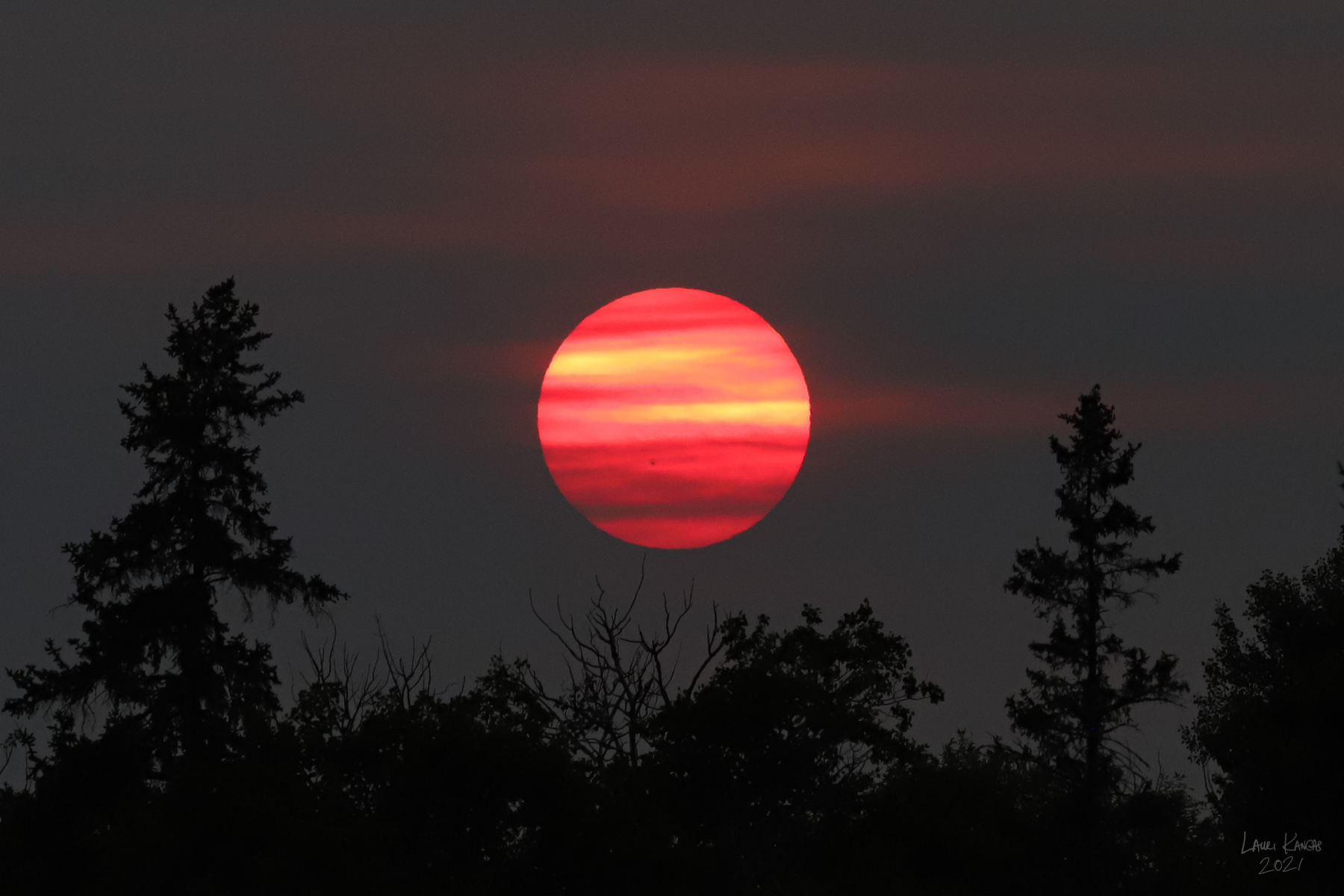 Forest Fire Sunset with Sunspot AR2835 visible - June 30, 2021
