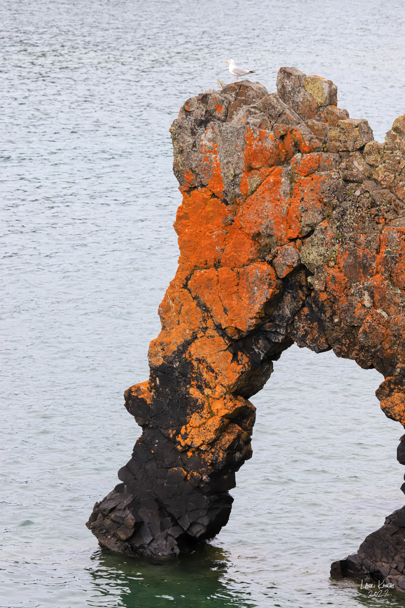 The Sea Lion - Sleeping Giant Provincial Park