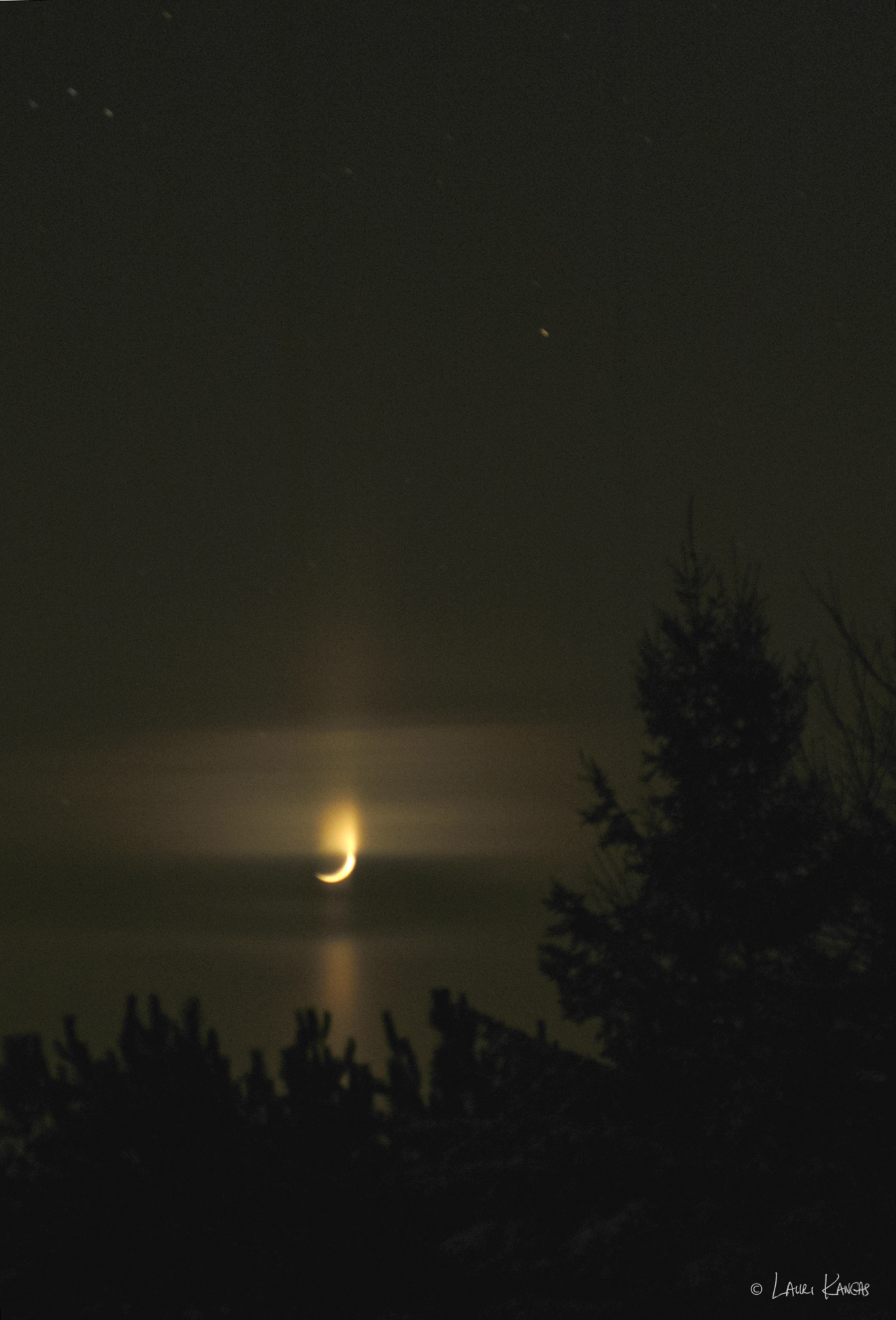 Rare Upper and Lower Moon Pillars