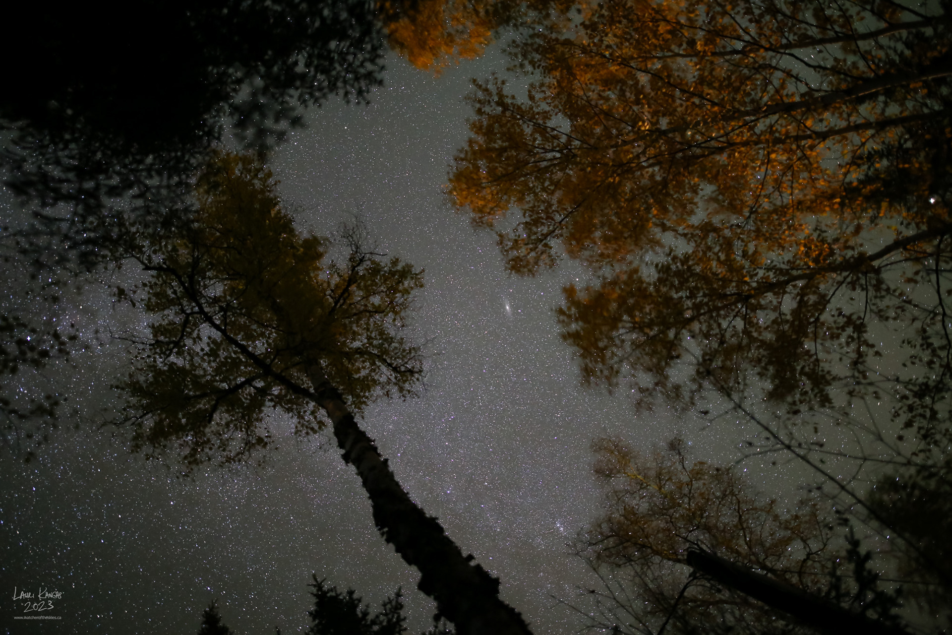 Looking straight up at Mackenzie Beach - Oct 13 2023