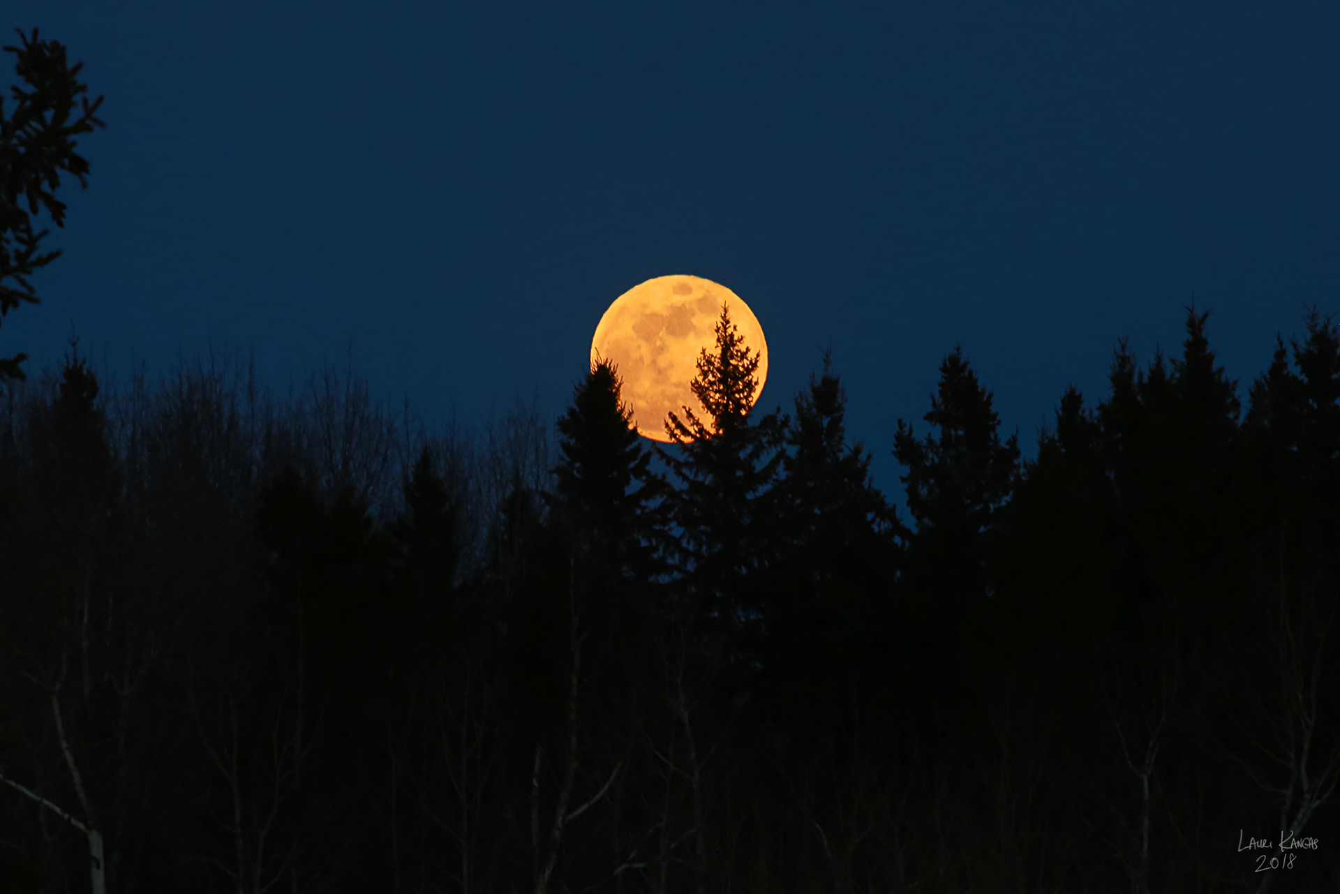 Full Worm Moonrise - March 1, 2018