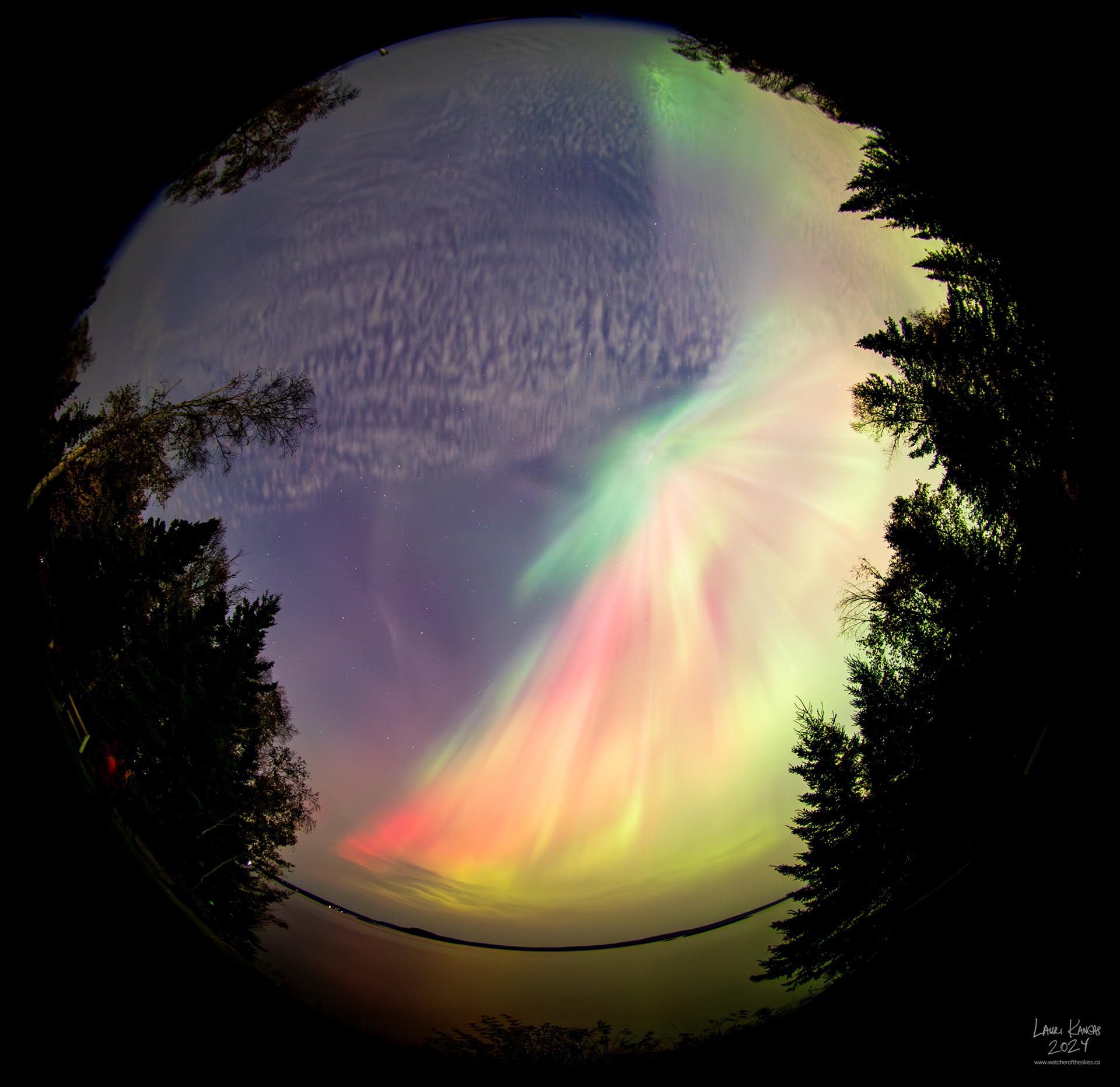 Full sky aurora over Amethyst Bay during G4 Geomagnetic Storm