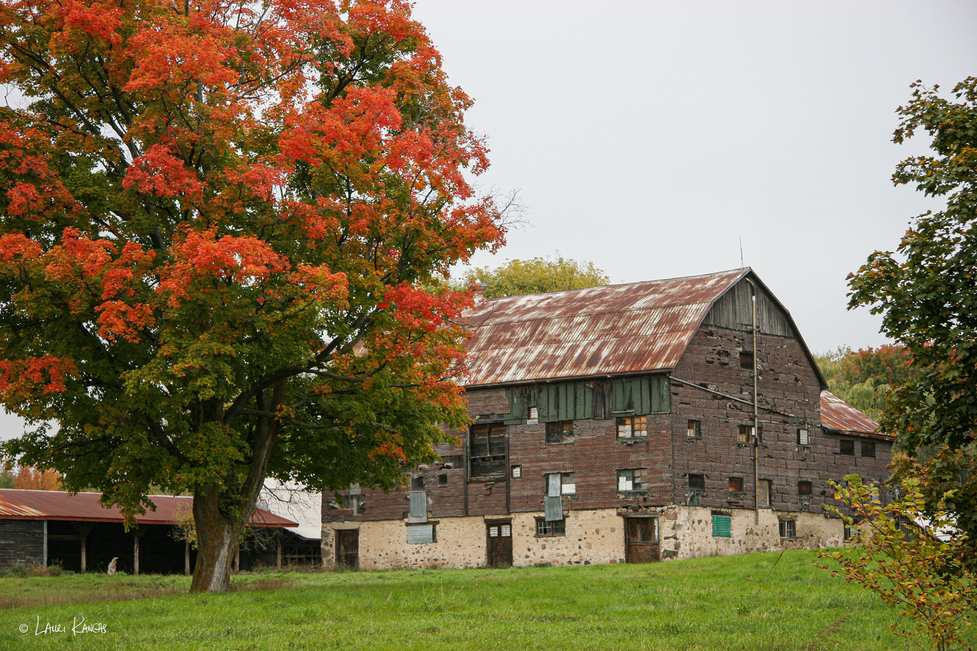 Autumn in Caledon