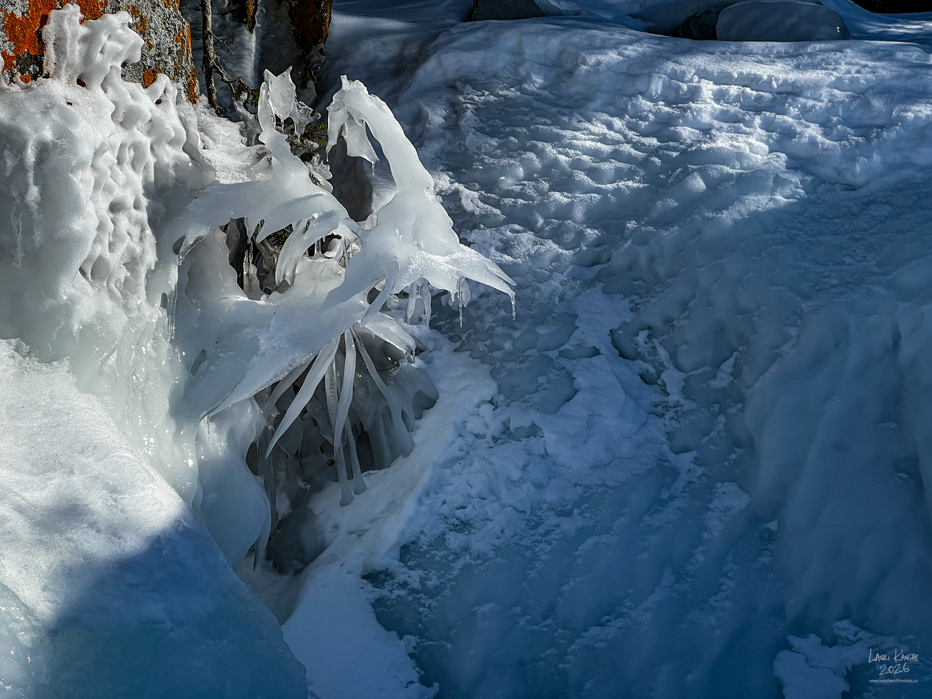 Cross Country Skiing to the Buck Islands - February 17 2026