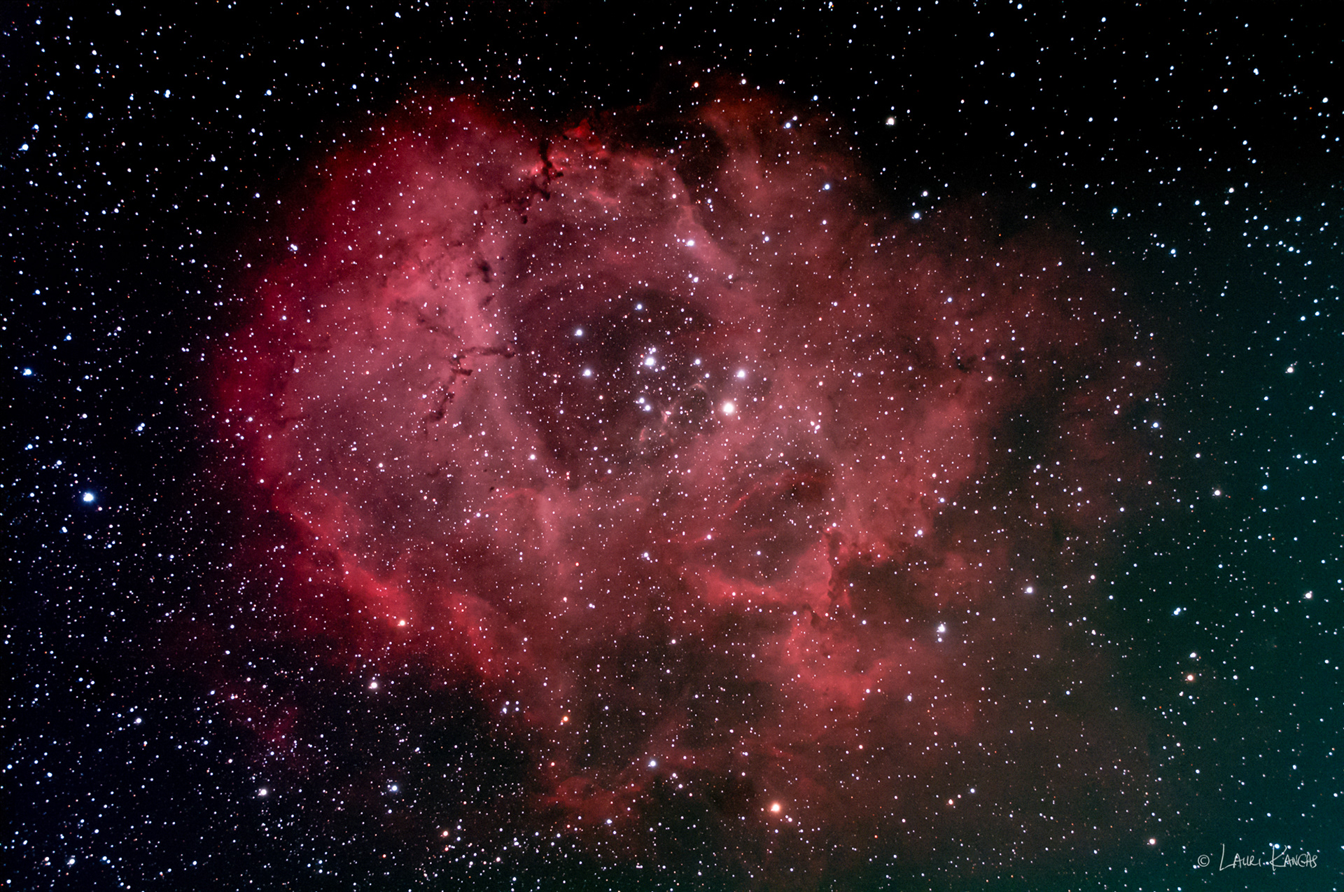 The Rosette Nebula - Modified Canon 40D