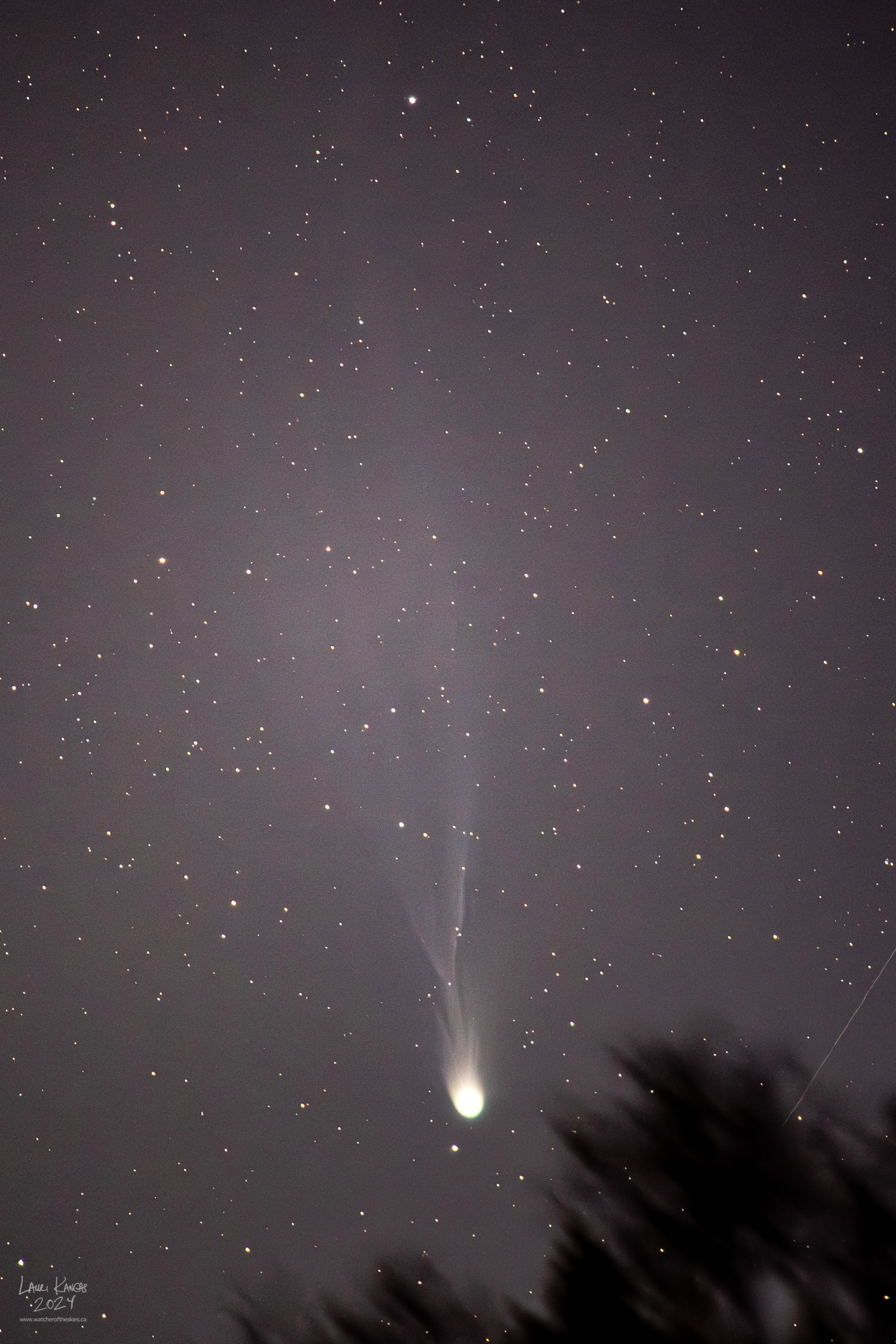 Comet 12P/Pons-Brooks - Single 30 second image - Apr 5, 2024