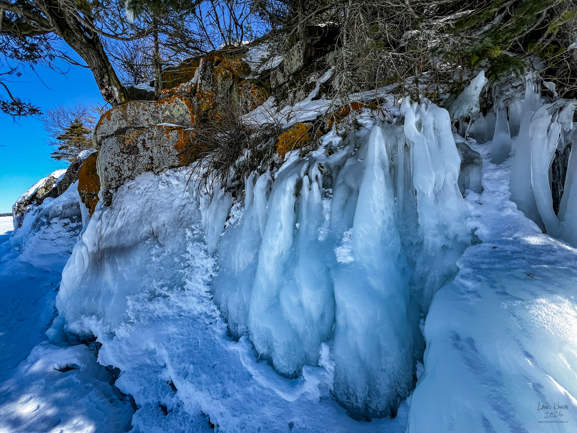 Cross Country Skiing to the Buck Islands - February 17 2026