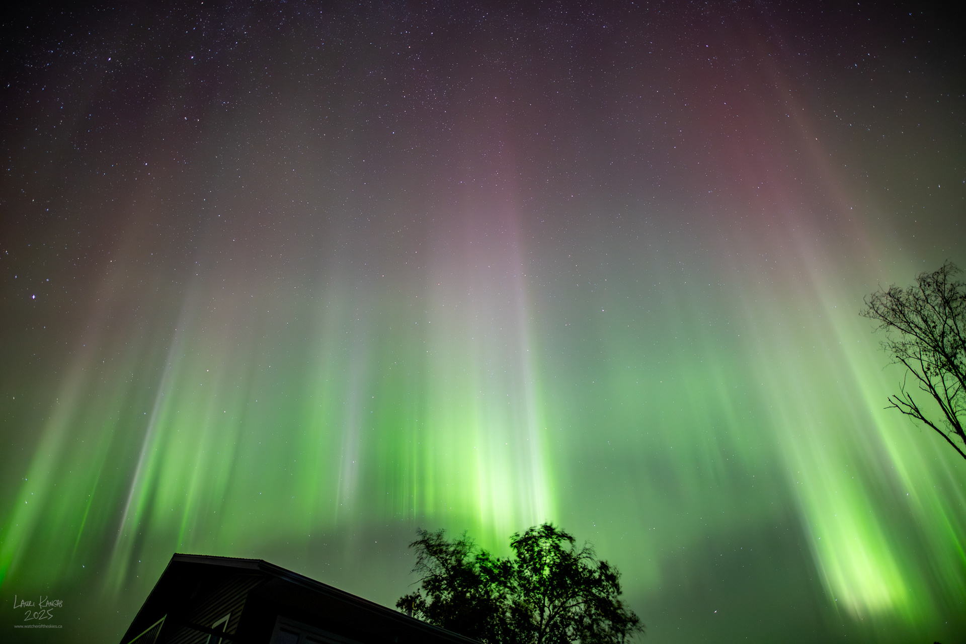 Surprise Equinox Aurora - Amethyst Bay, Lake Superior, Ontario