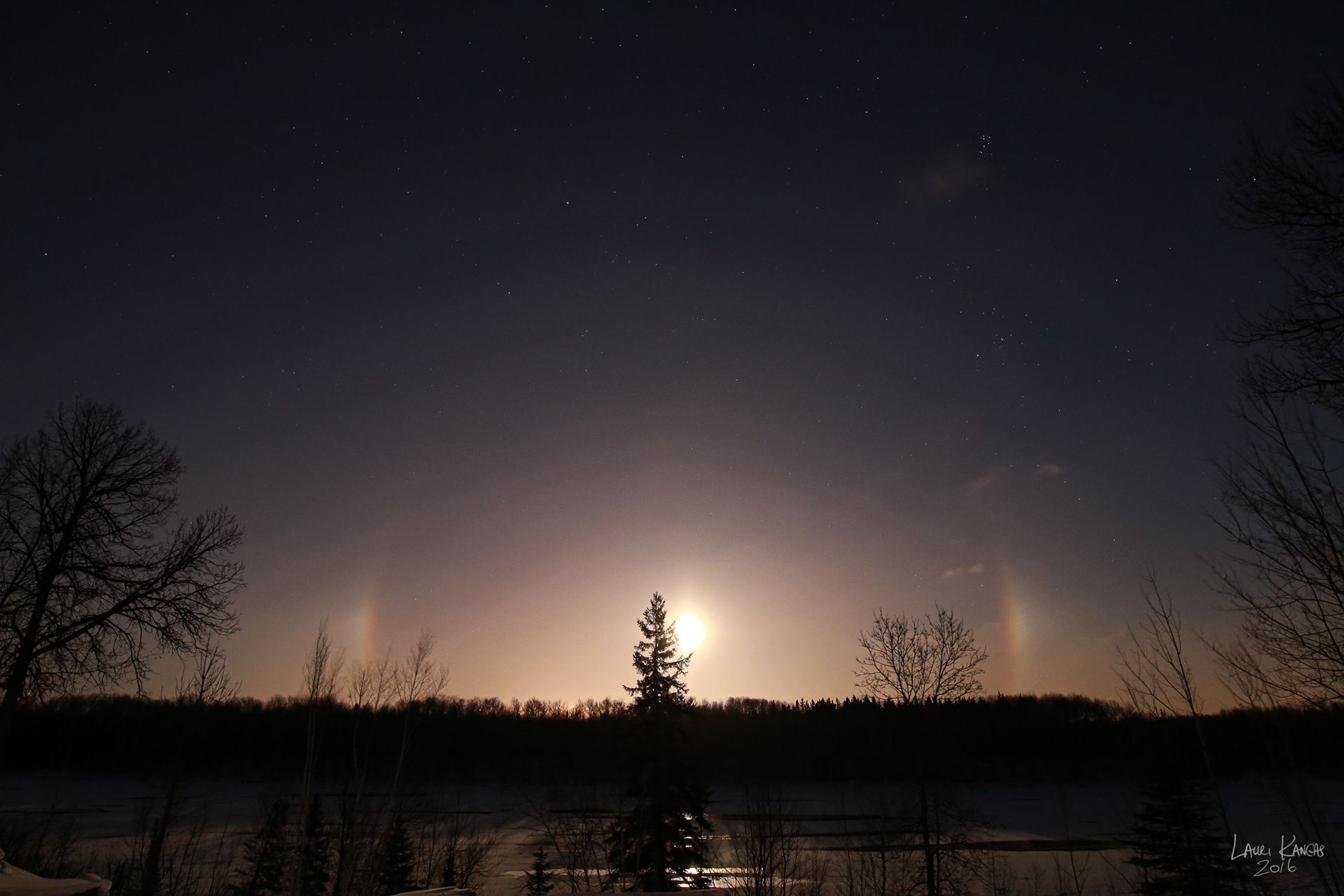 Moondogs - December 14, 2016