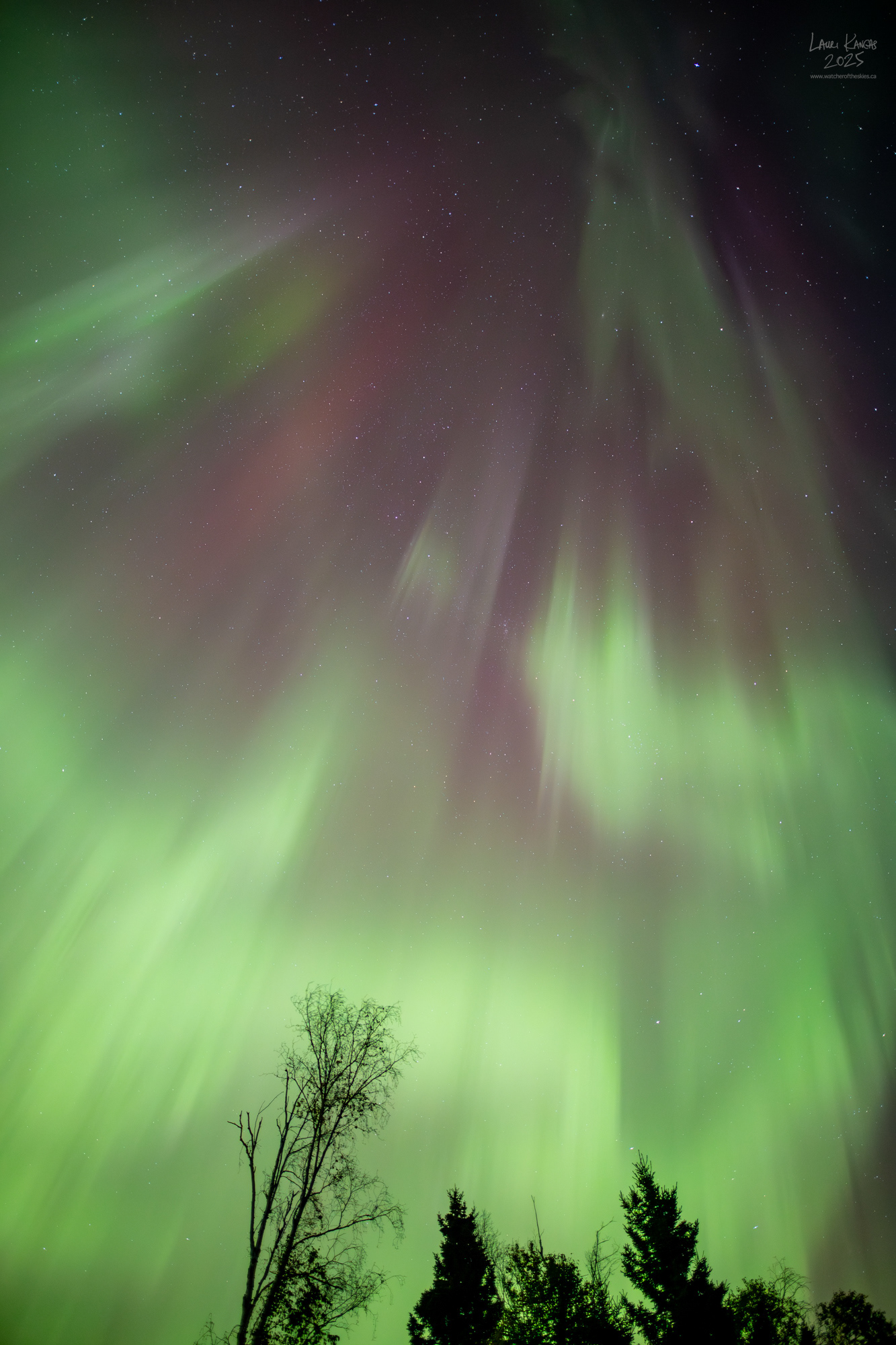 Surprise Equinox Aurora - Amethyst Bay, Lake Superior, Ontario