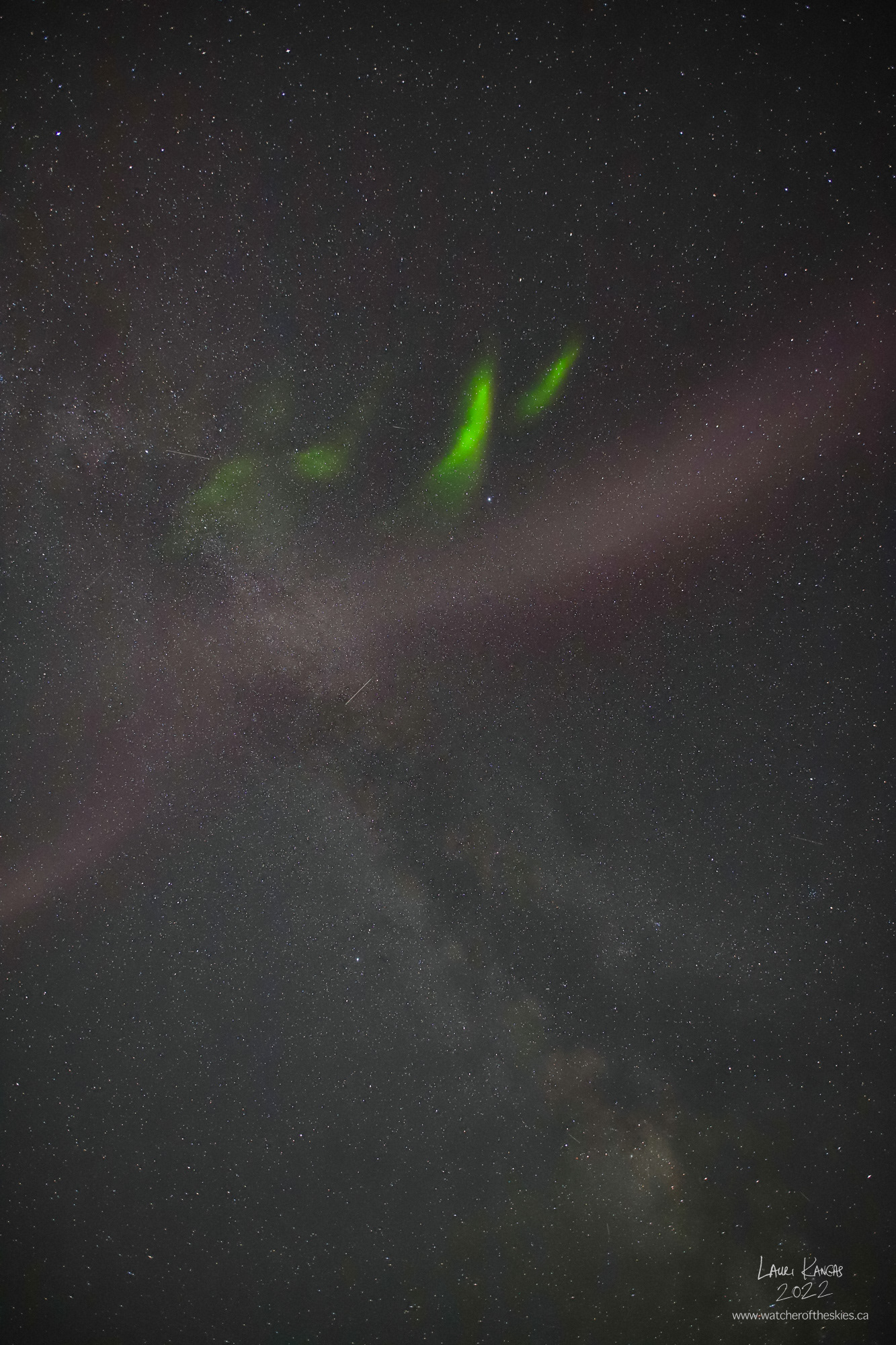 STEVE appeared during the G1 Geomagnetic Storm on July 22/23, 2022