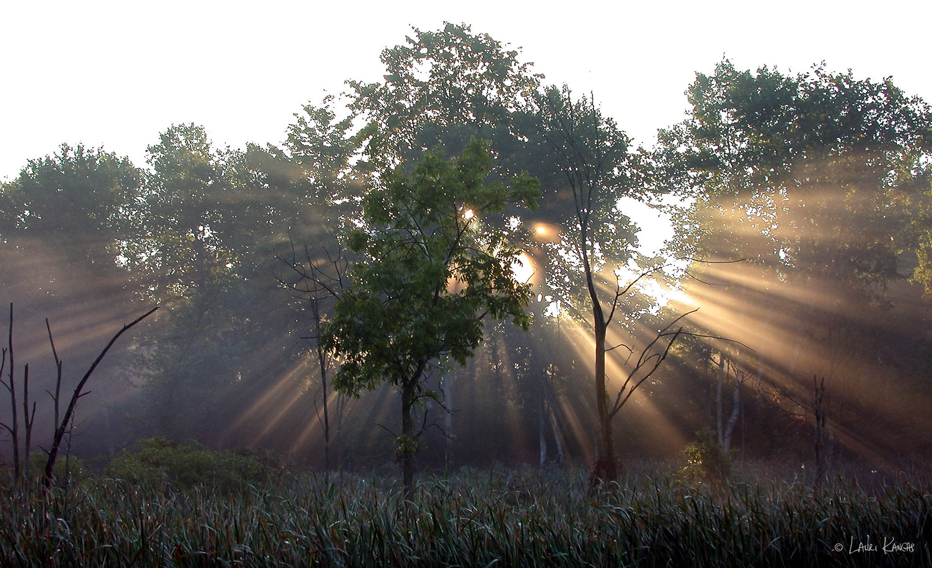 Morning Crepuscular Rays