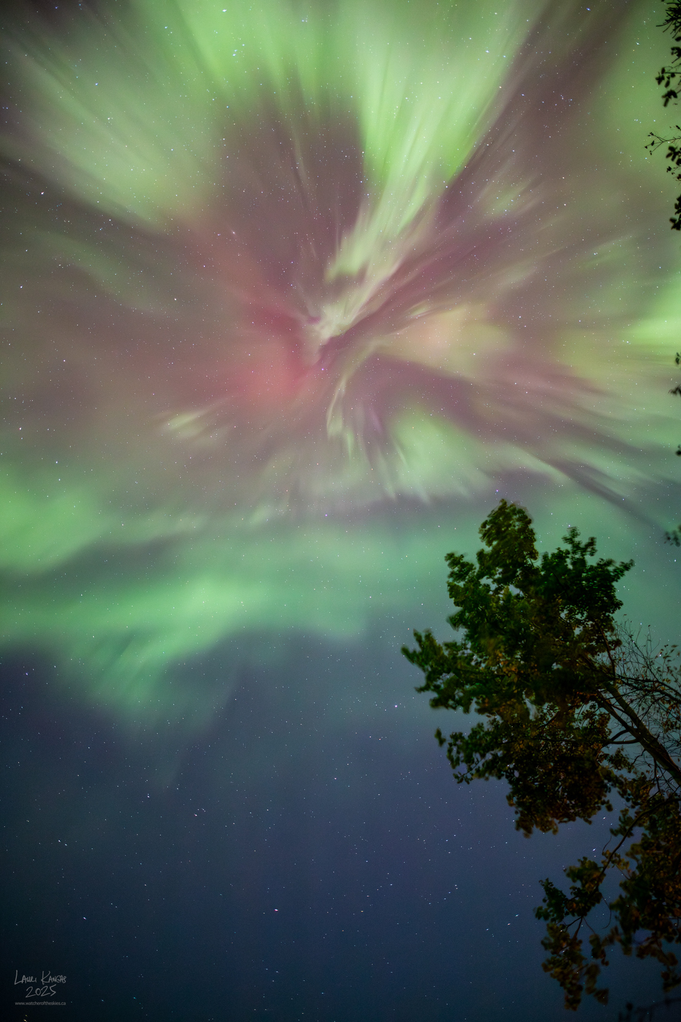 Surprise Equinox Aurora - Amethyst Bay, Lake Superior, Ontario