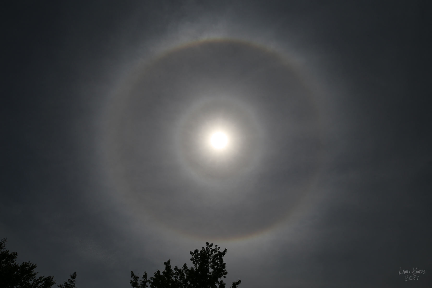 9 degree, 22 degree and circumscribed solar halos - June 8, 2021