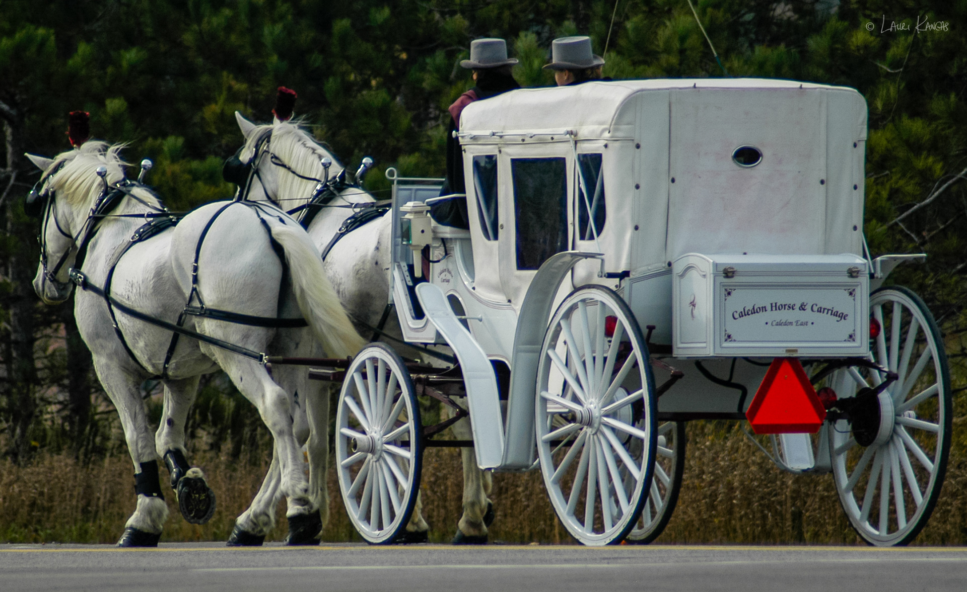 Caledon Country Road in October