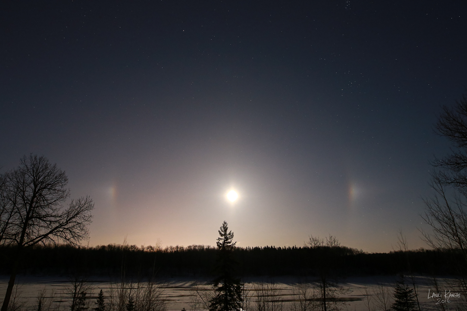 Moondogs - December 14, 2016