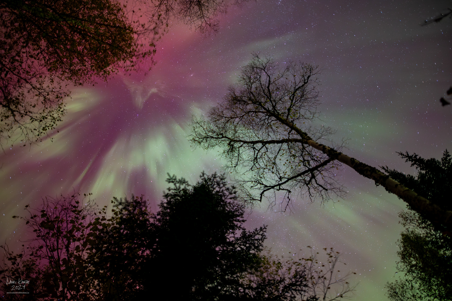 Red and green corona during G3 storm