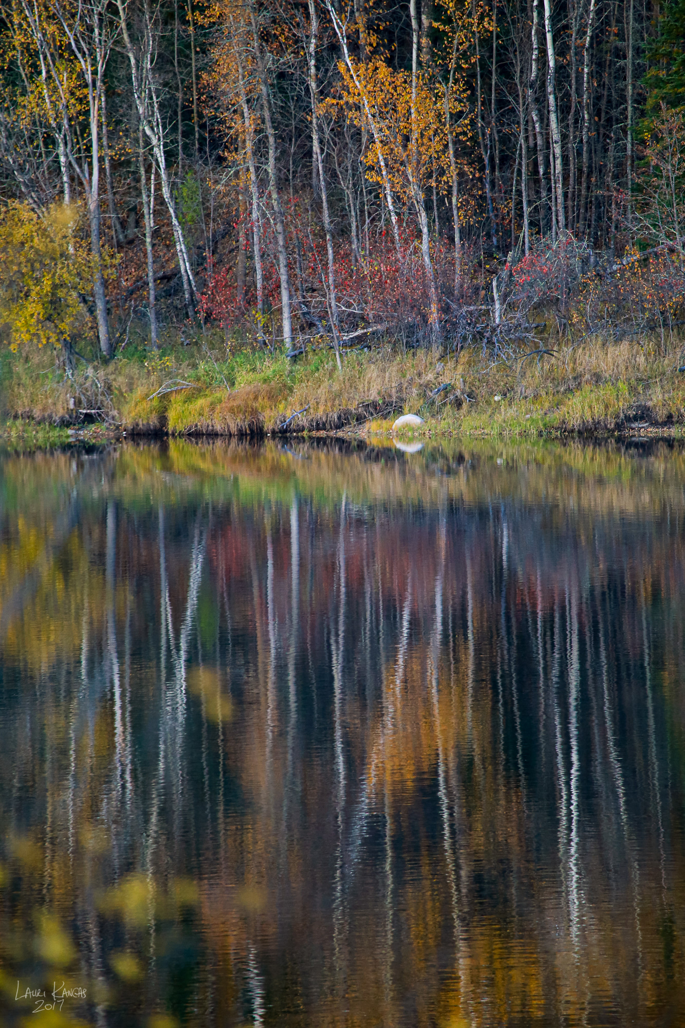 Rainy River Reflections - October 13, 2017