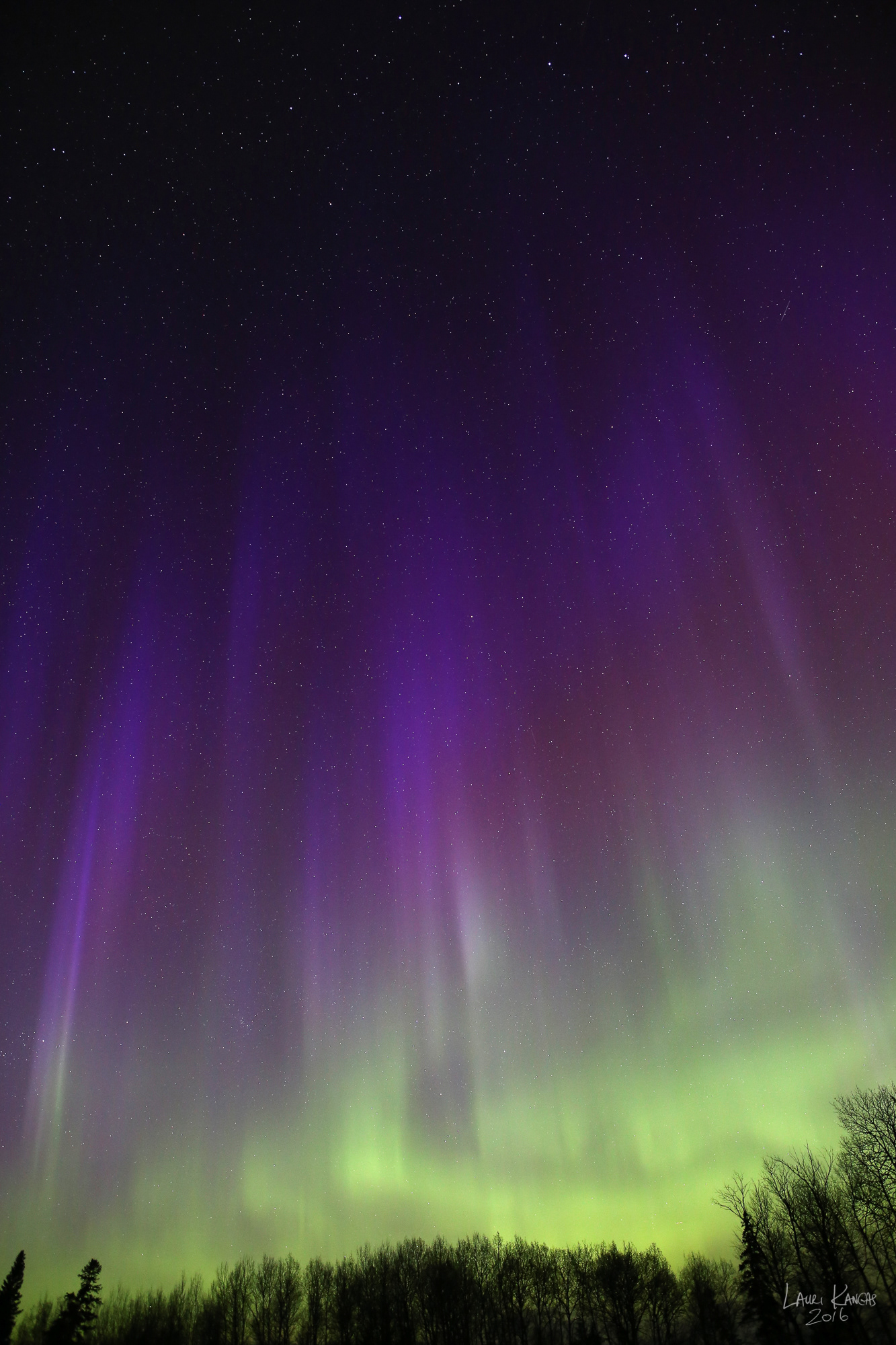 Beautiful Purple Aurora - May 1, 2016