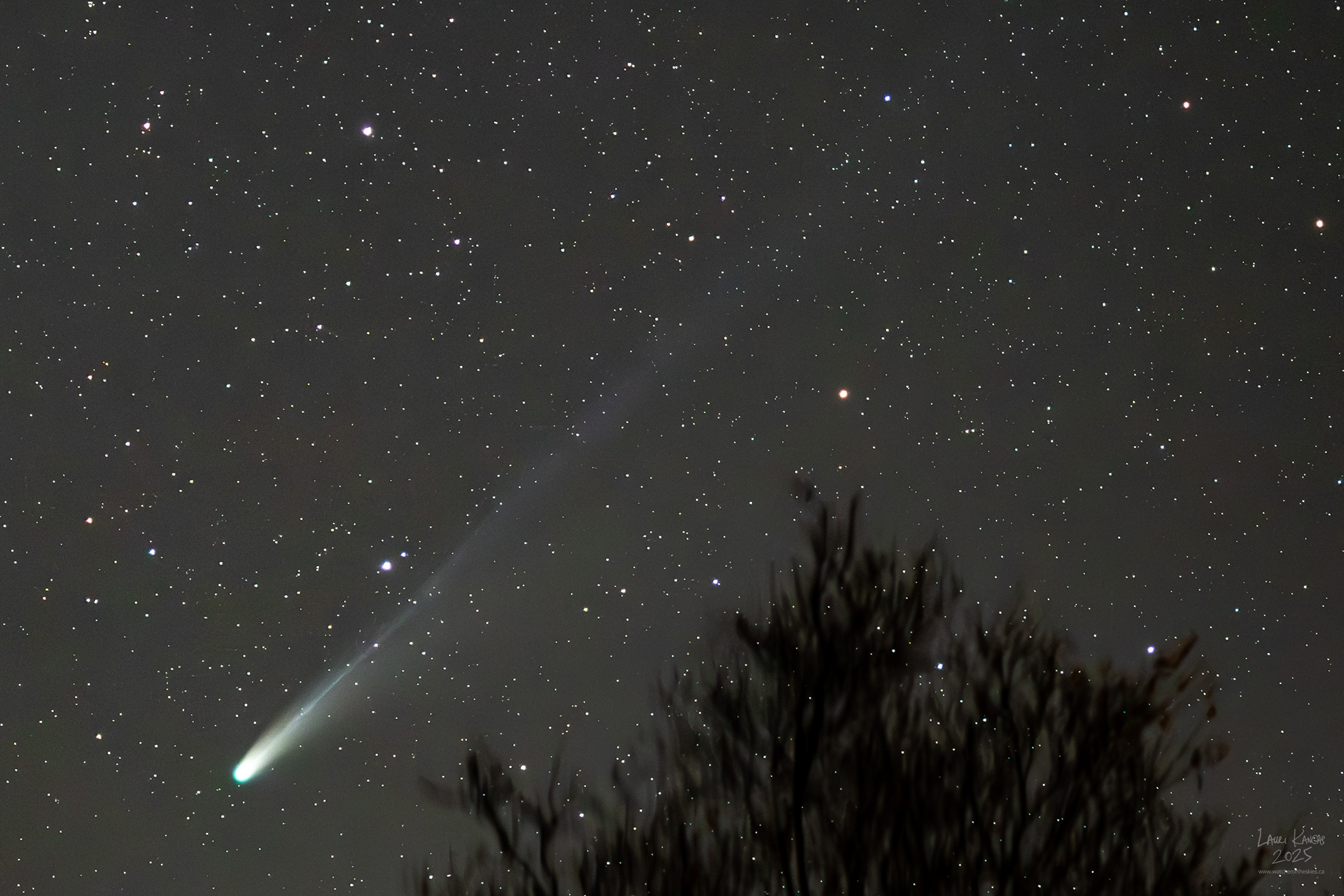 The comet imaged on October 26 2025 at 130mm focal length