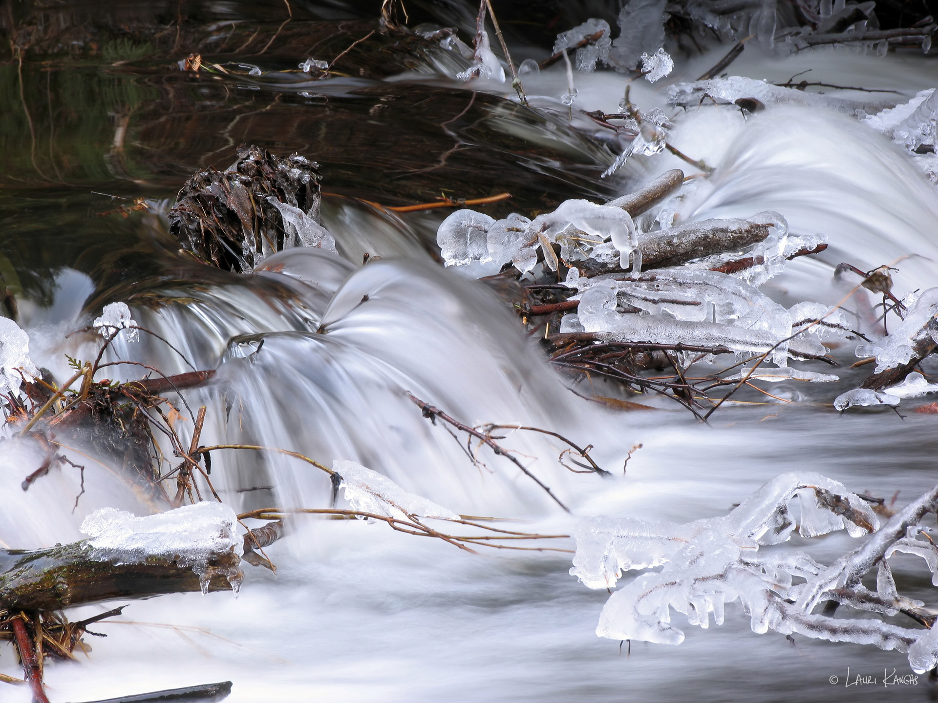Winter in Caledon, Ontario