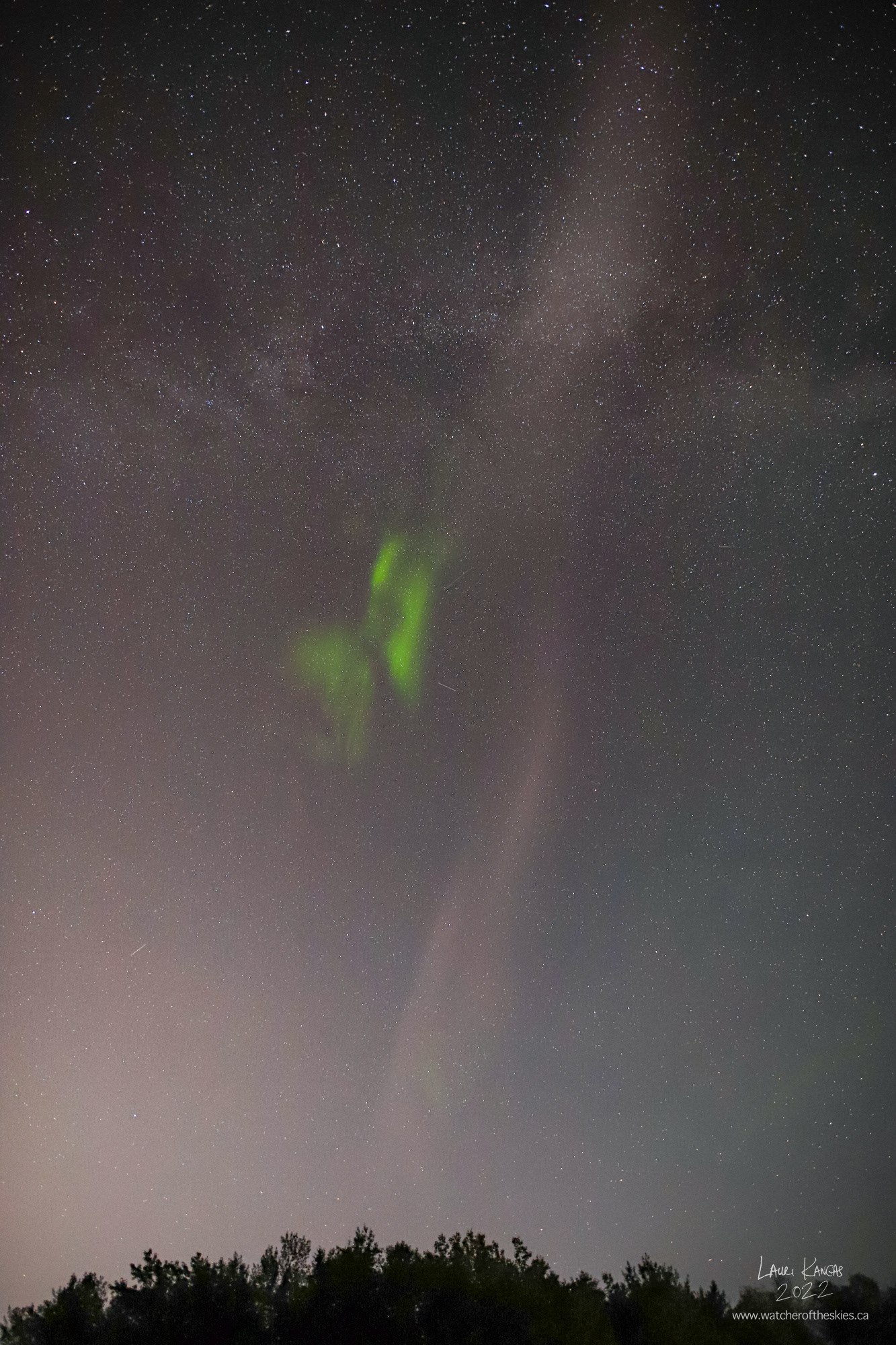 STEVE appeared during the G1 Geomagnetic Storm on July 22/23, 2022