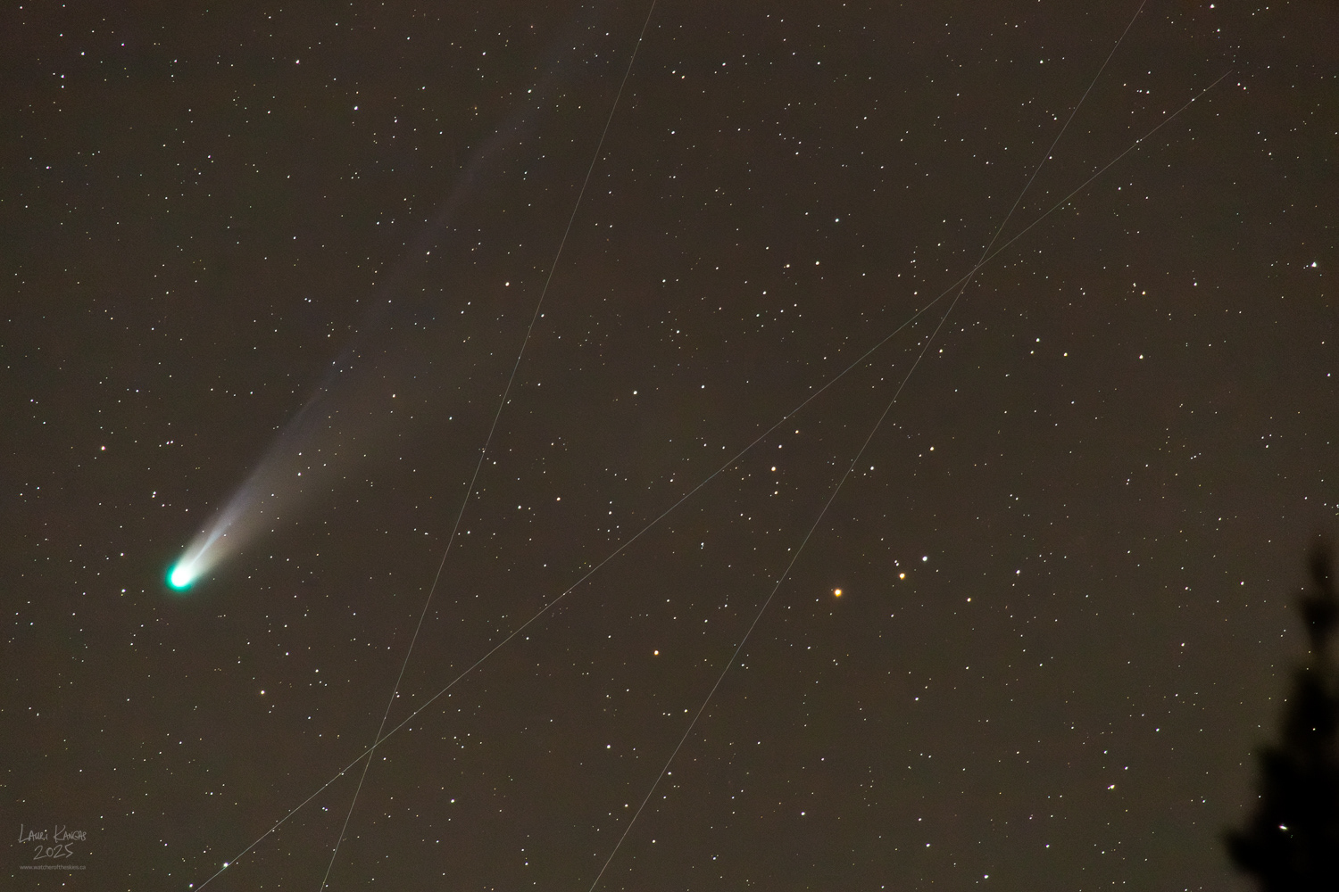Comet and Starlink trails imaged on October 19, 2025 at 400mm focal length