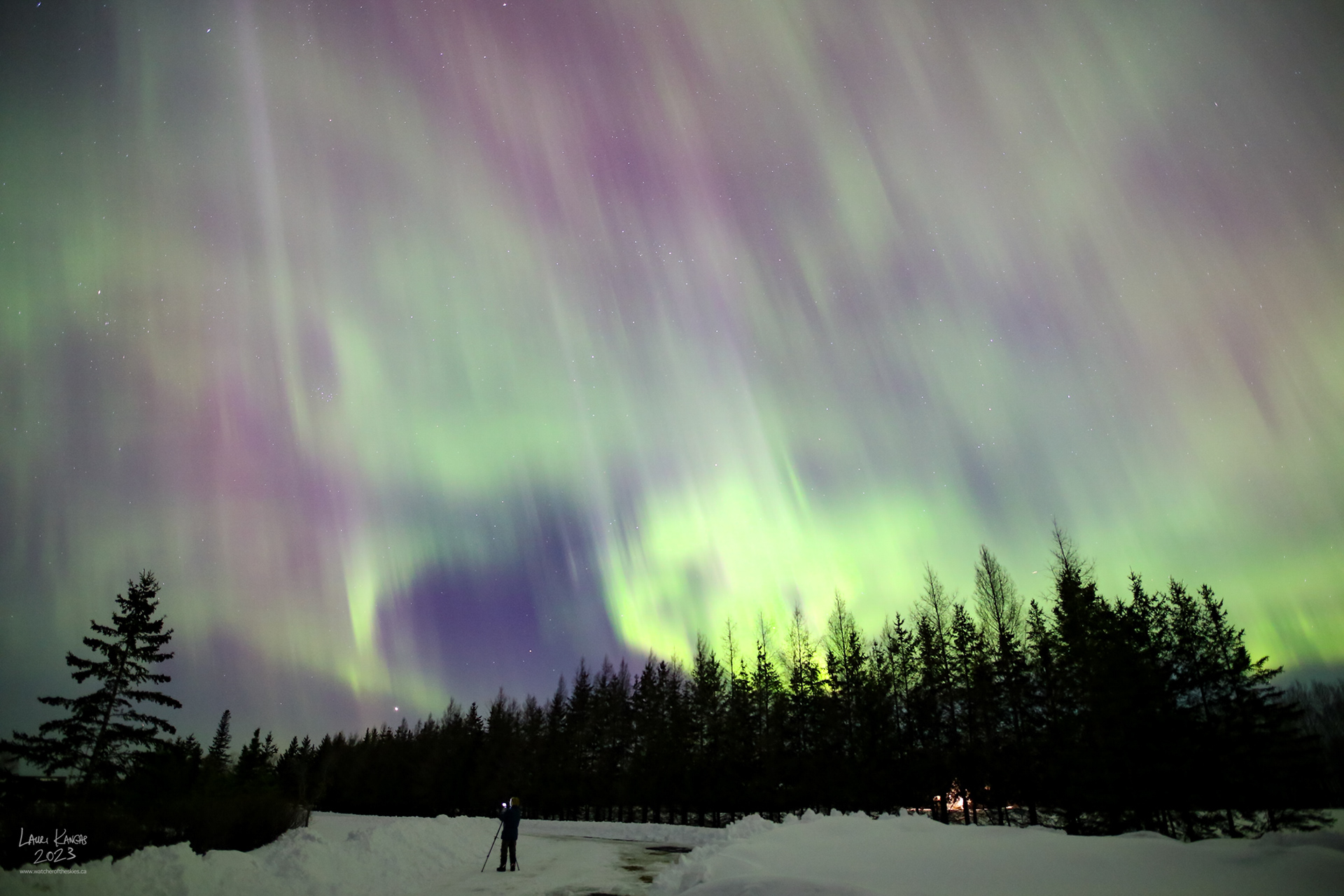 Amazing Aurora - G4 Storm on Mar 23 2023