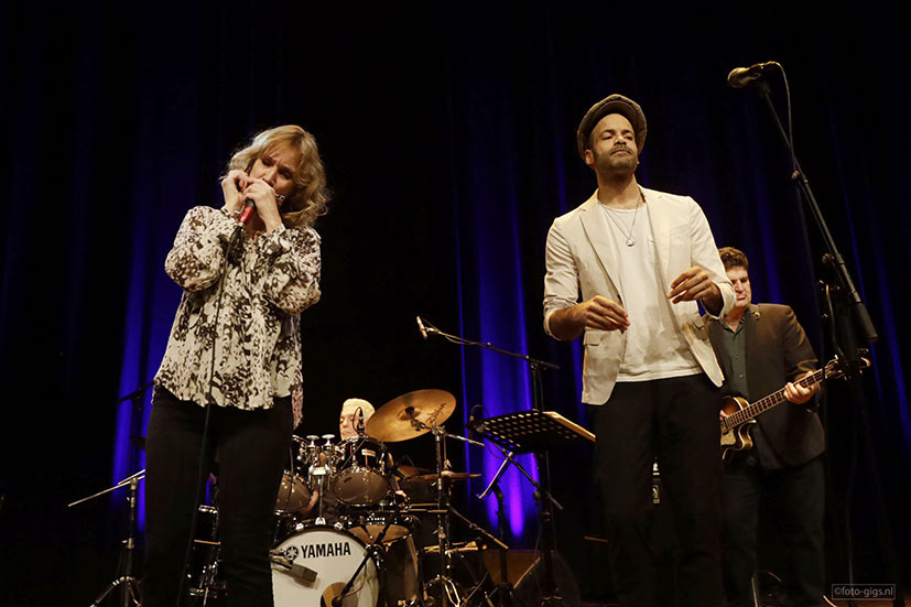 Steve Gadd/Alain Clark/Hermine Deurloo