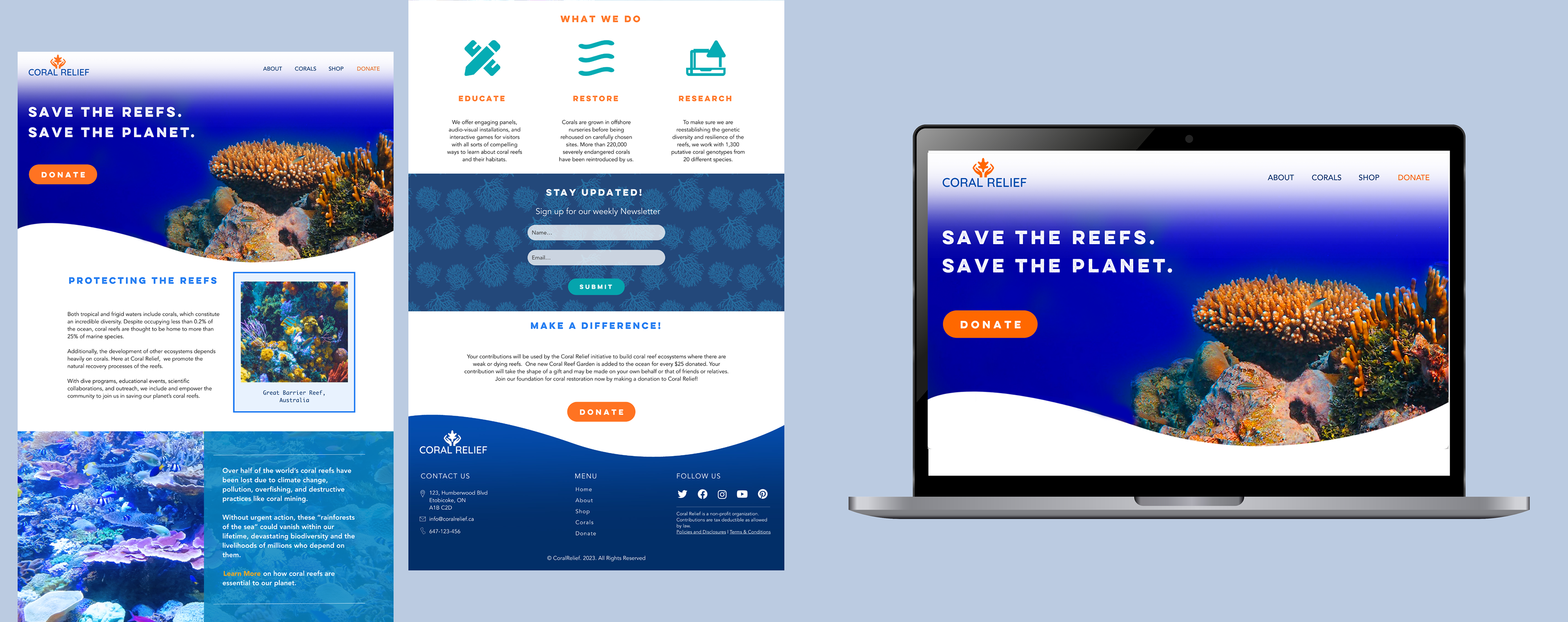 Coral relief web design