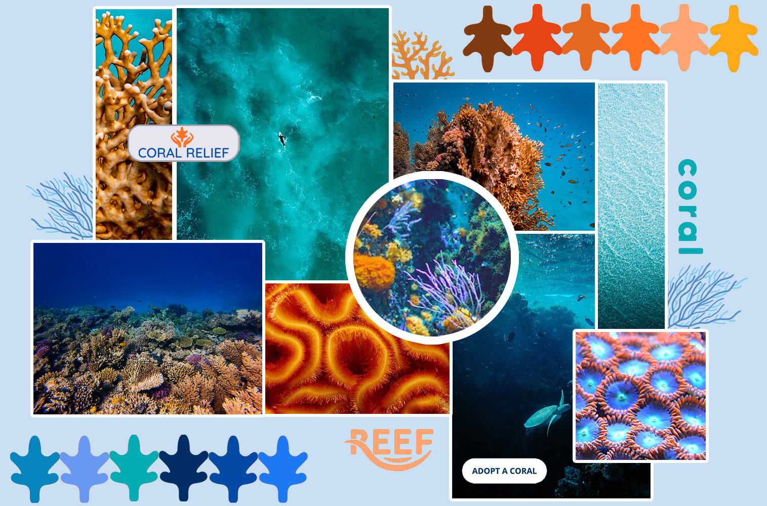 Coral Relief moodboard