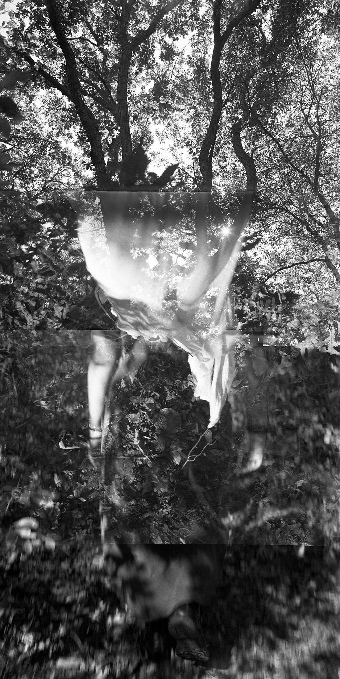 Daphne, 2025, Archival inkjet print, 80 x 40 inches