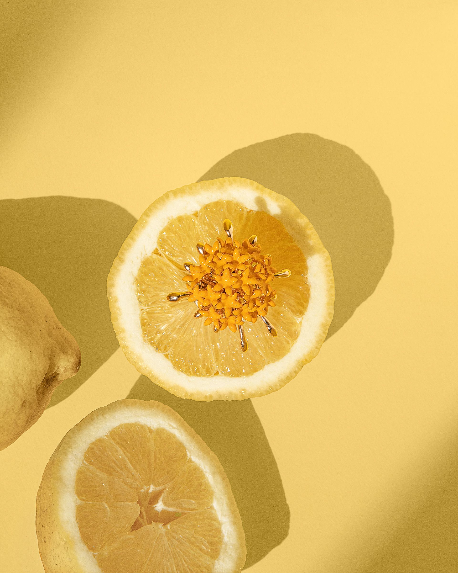 ABEILLE ALLEGRA AD