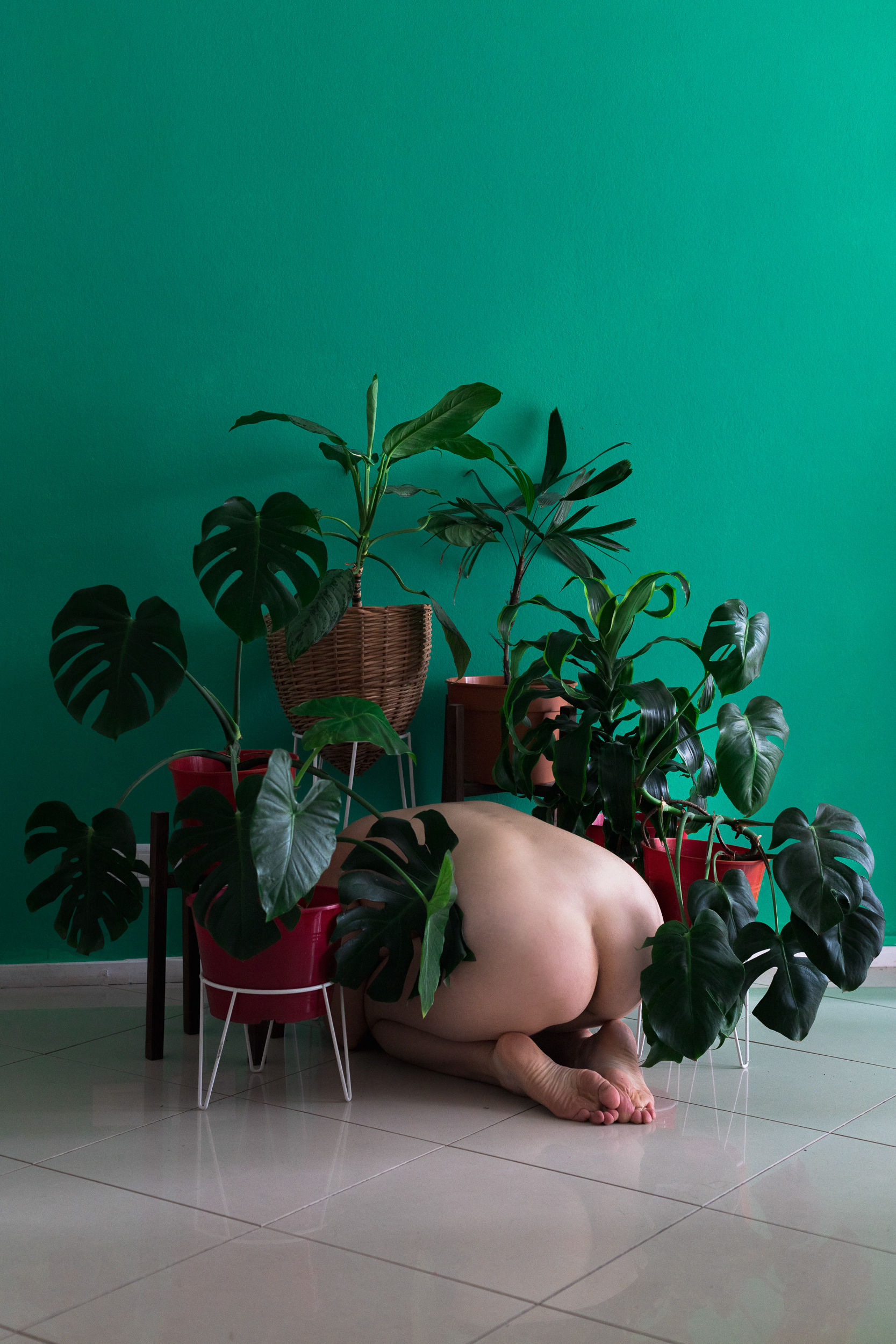 Autorretratos con plantas II (Tríptico) (2021)
