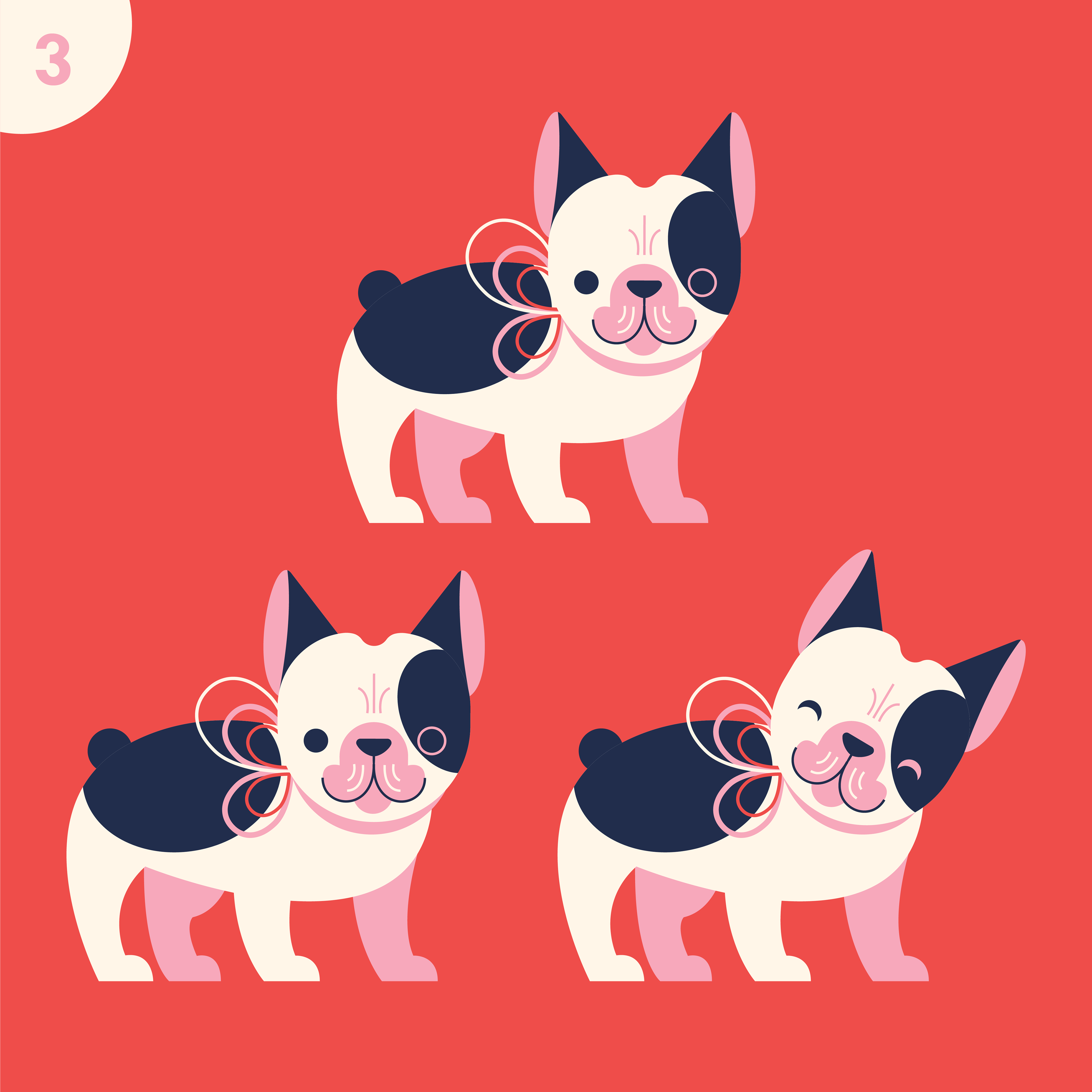 Three furry friends