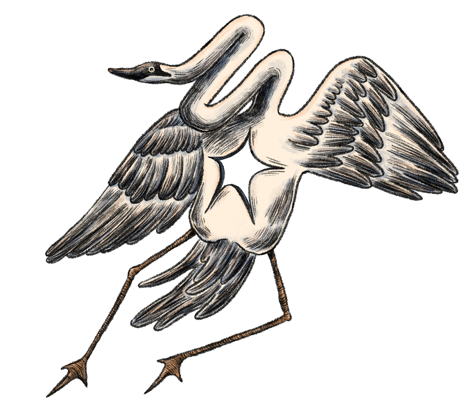 Dancing Birdy