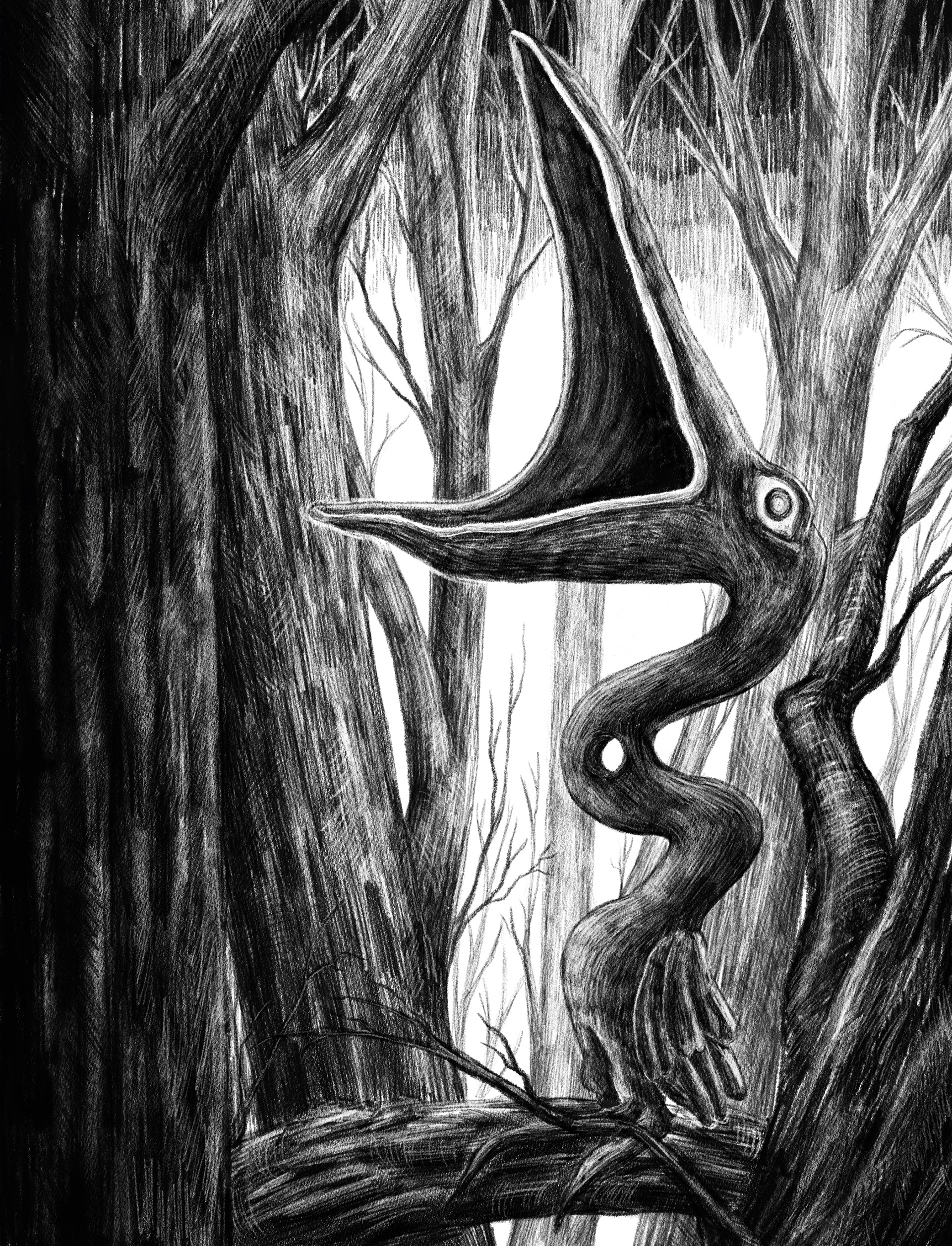 Weird Bird